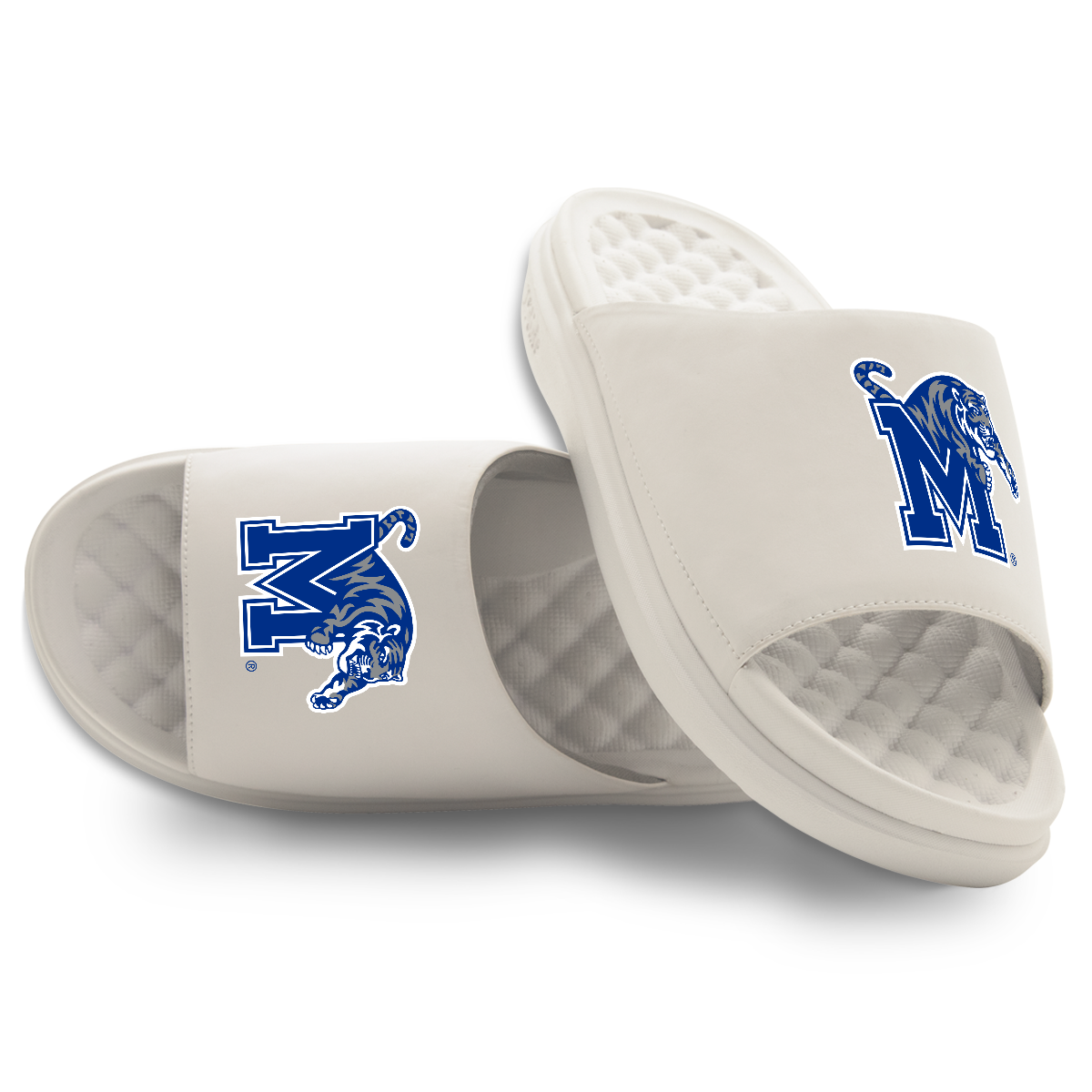 Memphis Tigers Primary Motive