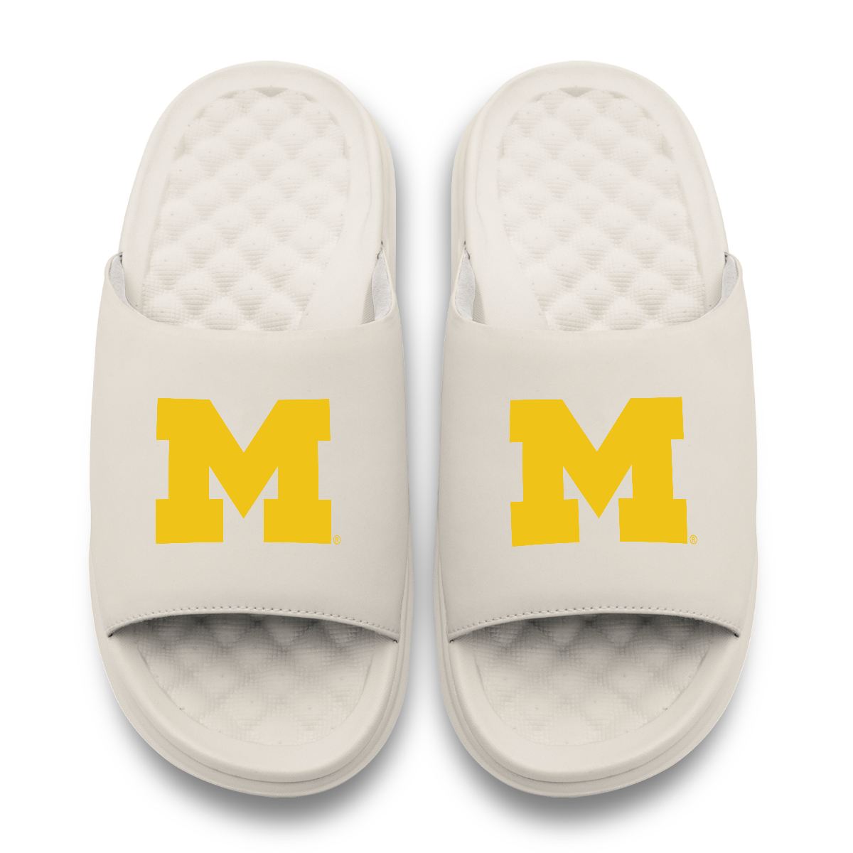 Michigan Wolverines Primary Motive