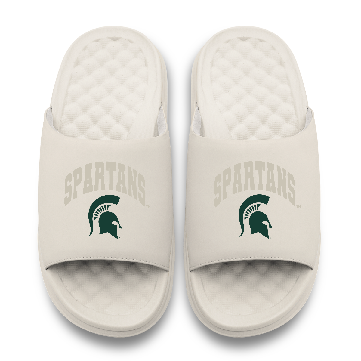Michigan State Spartans Tonal Pop Motive