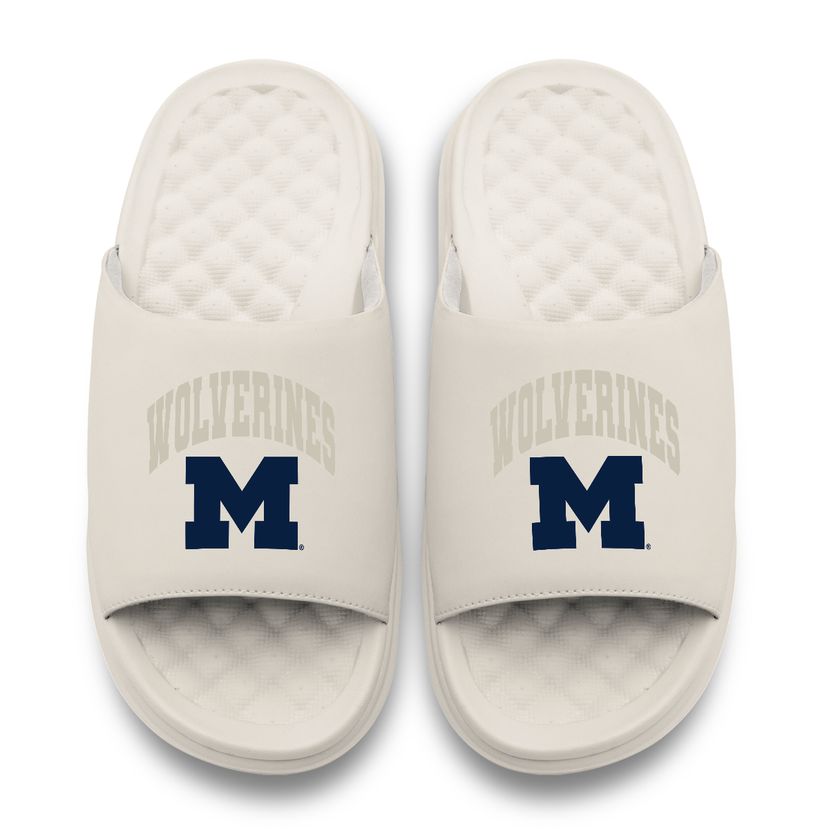 Michigan Wolverines Tonal Pop Motive