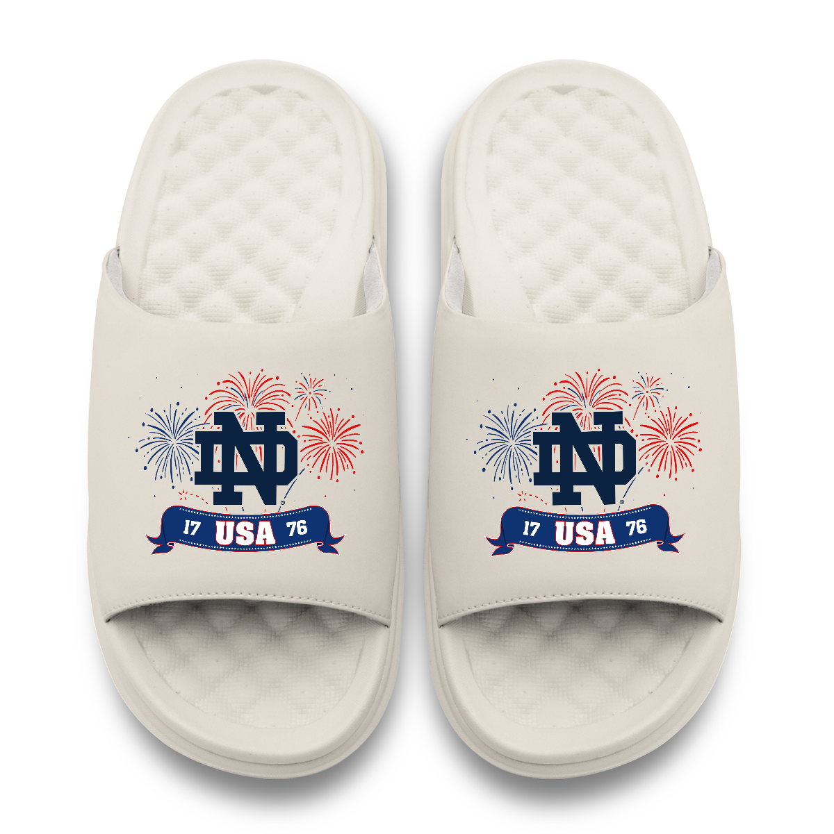 Notre Dame Fighting Irish USA Americana