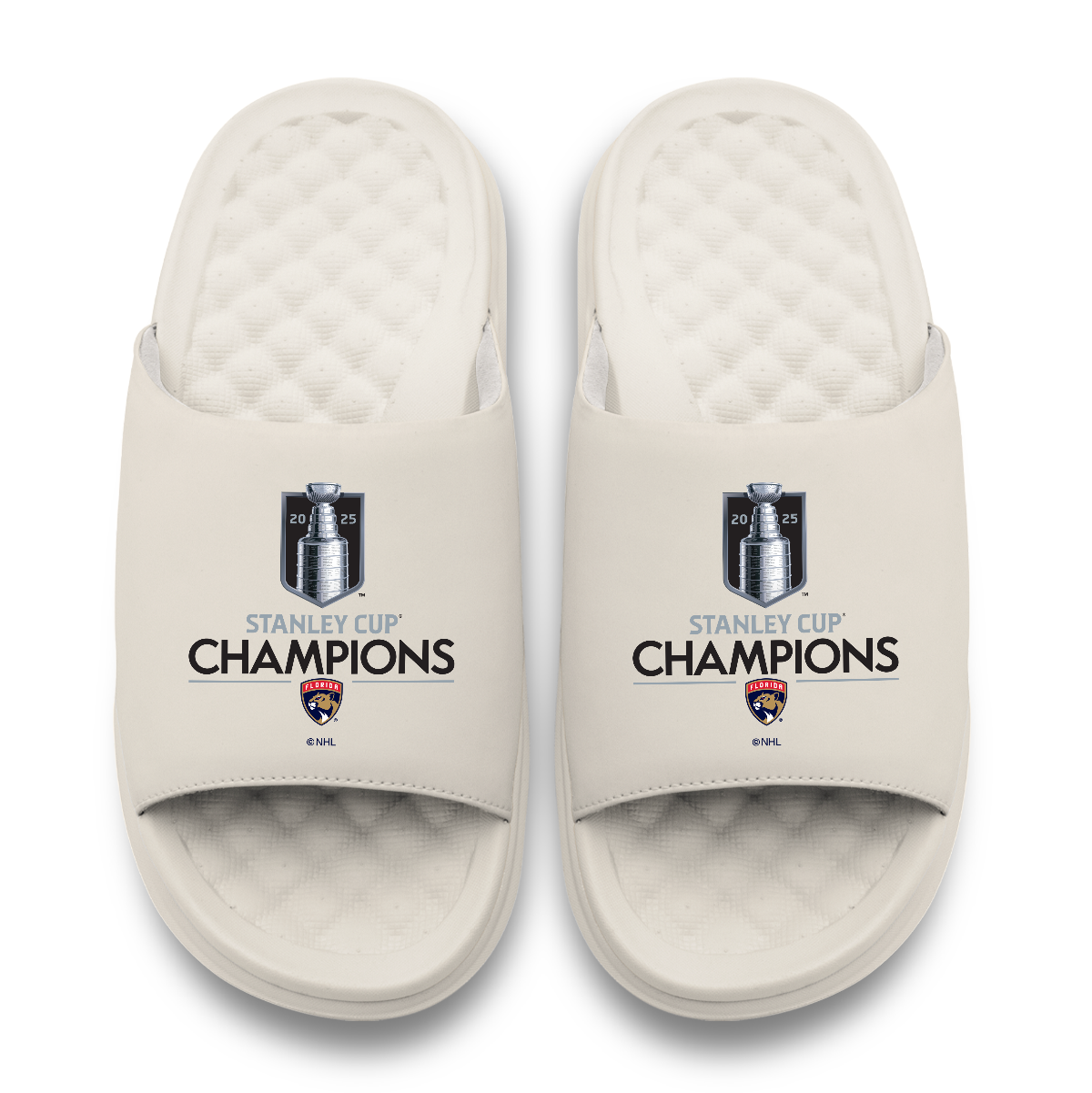 Florida Panthers 2025 Stanley Cup Champions Motive