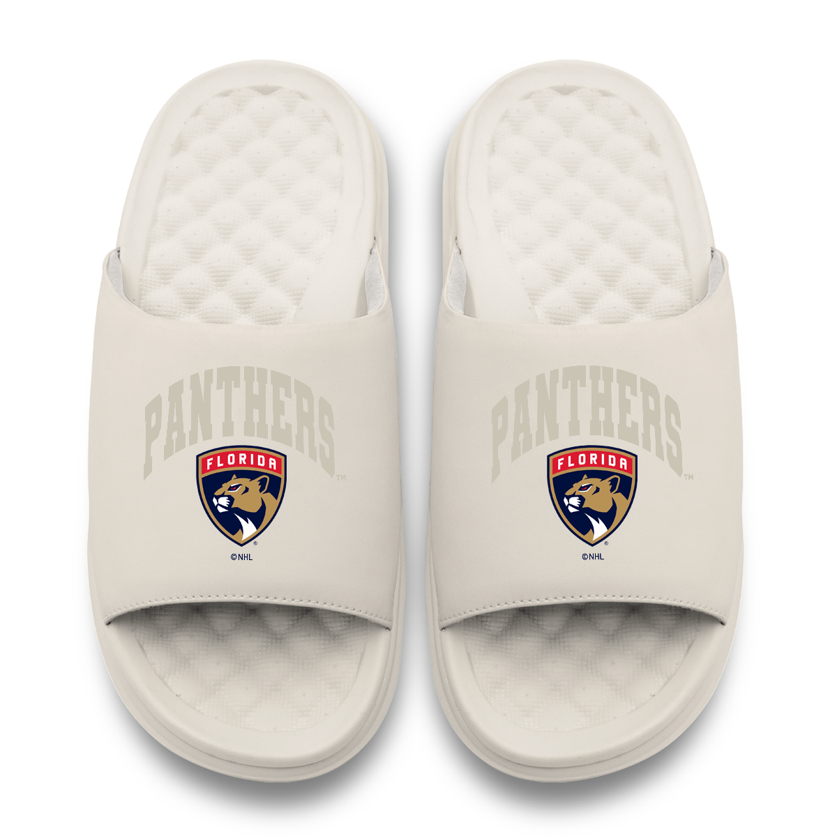 Florida Panthers Tonal Pop Motive