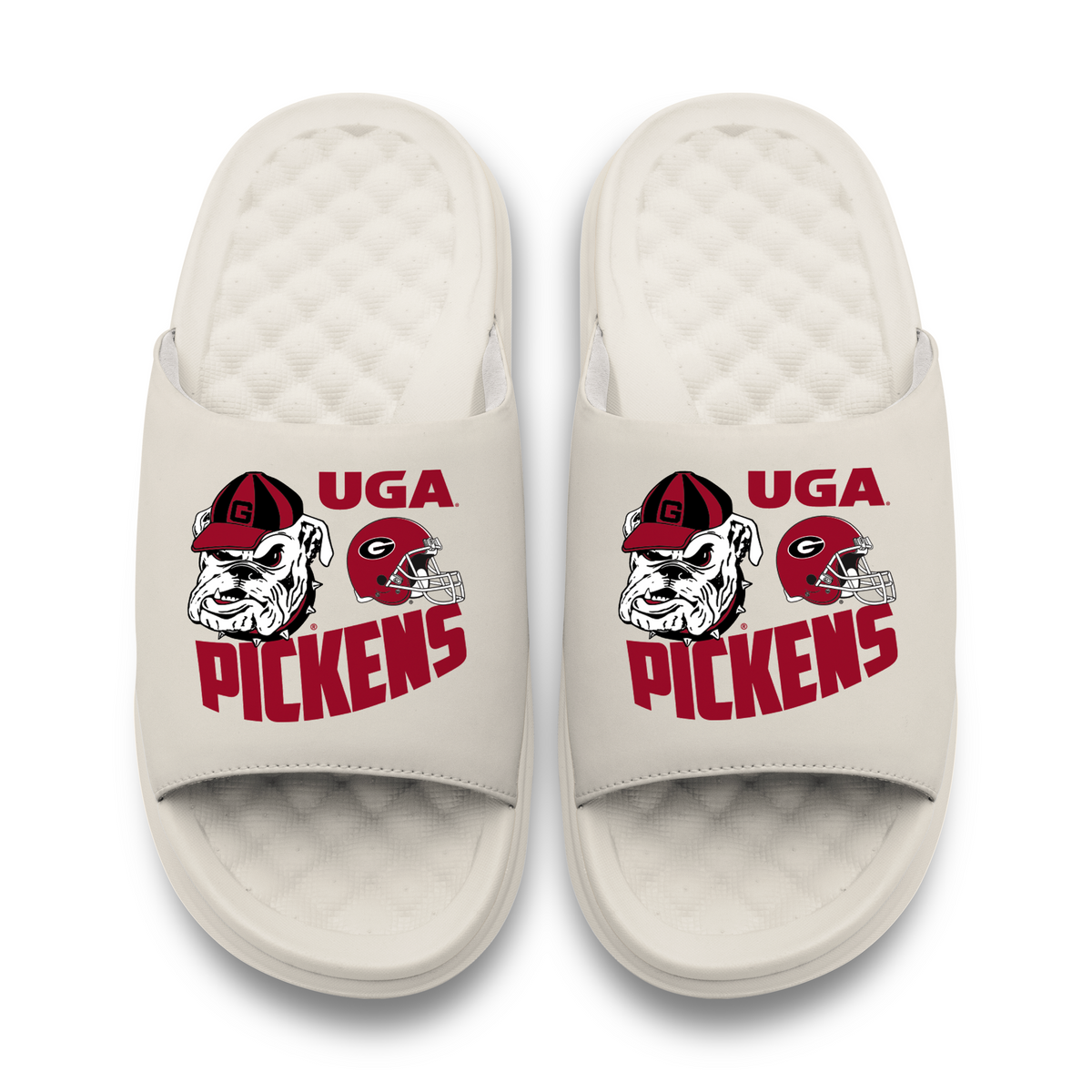 Georgia Bulldogs George Pickens Collage