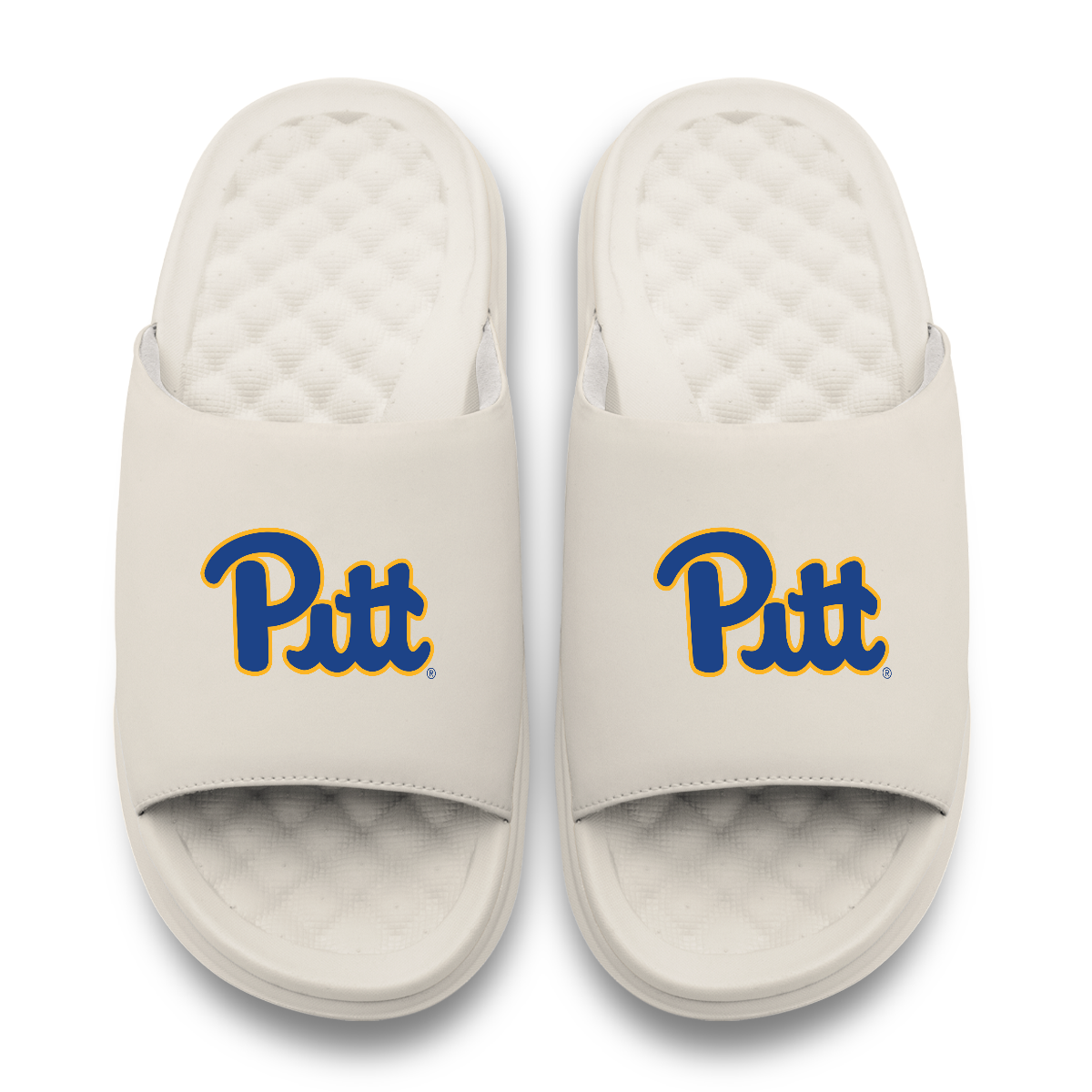 Pitt Panthers Primary Motive