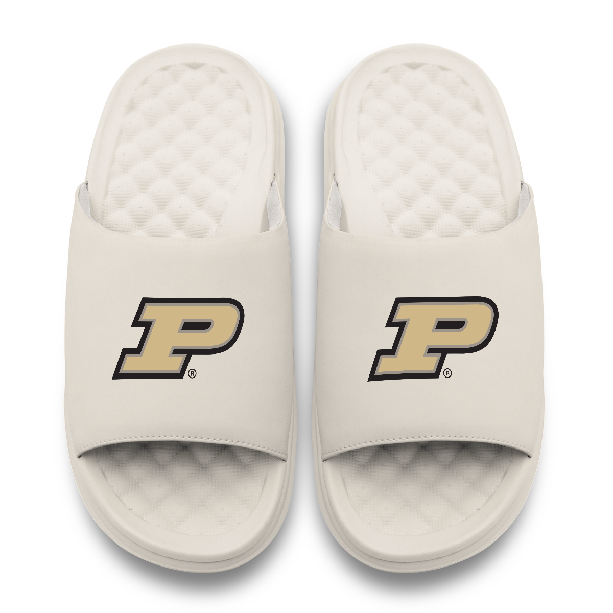 Purdue Boilermakers Primary Motive