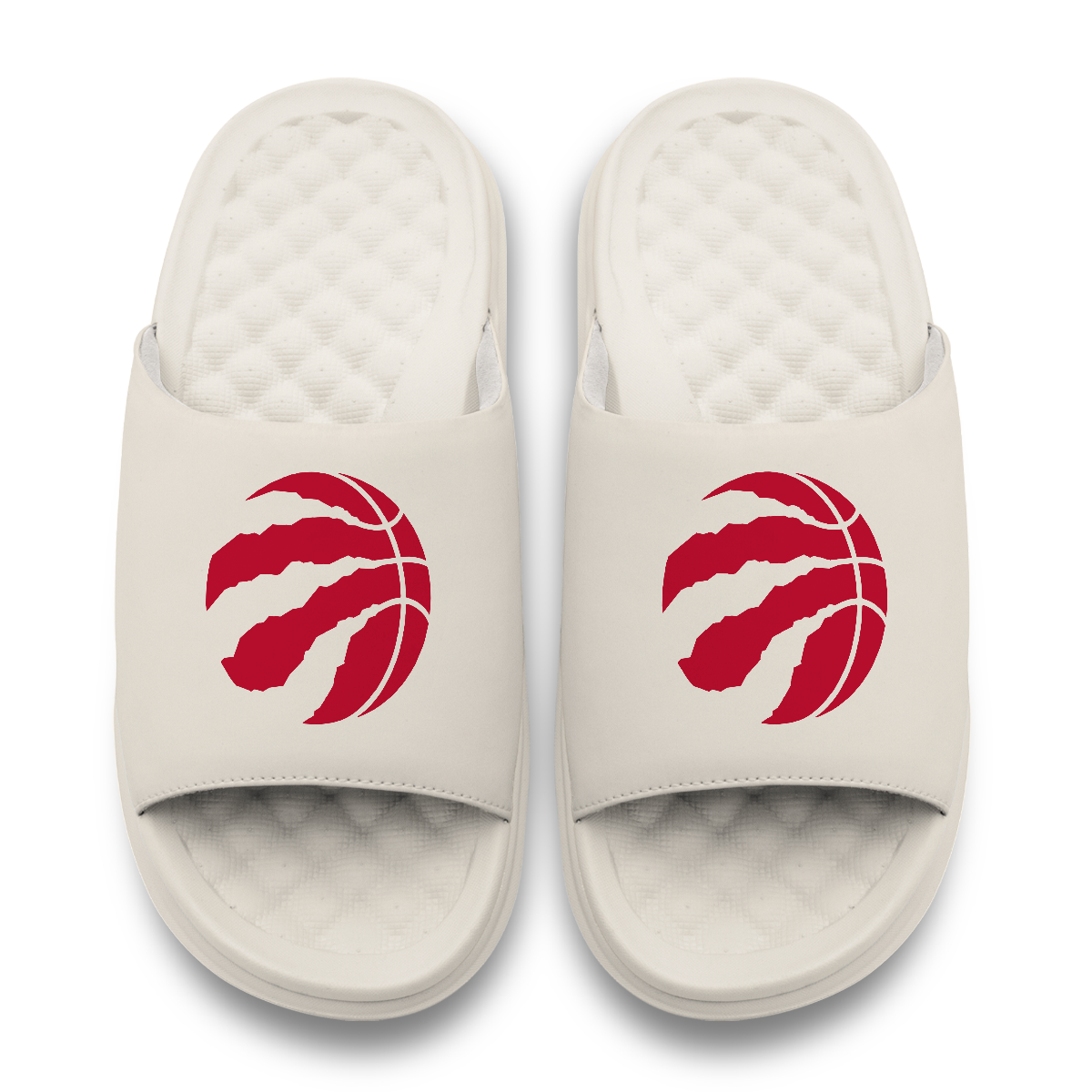 Toronto Raptors Primary Motive