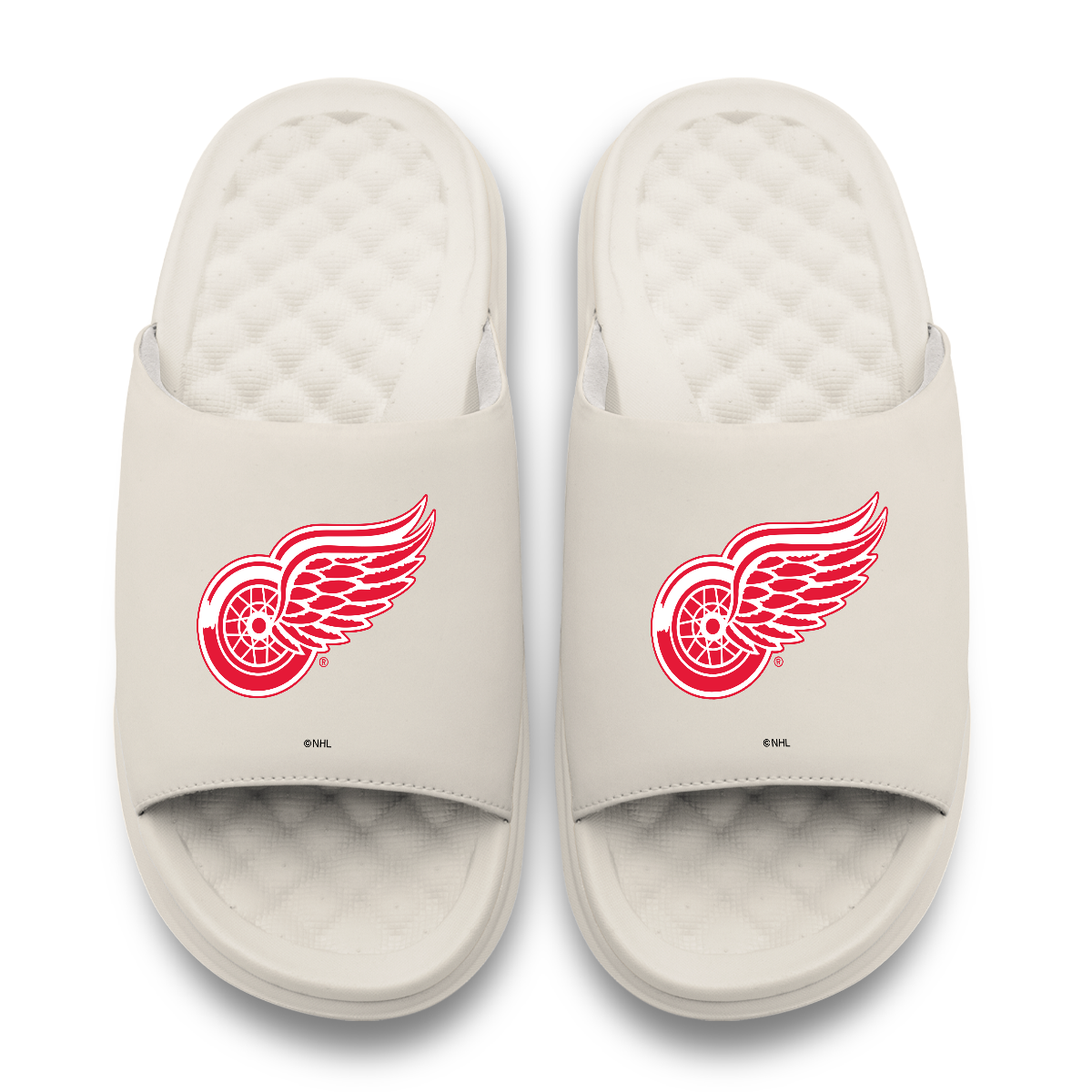 Detroit Red Wings Primary Motive
