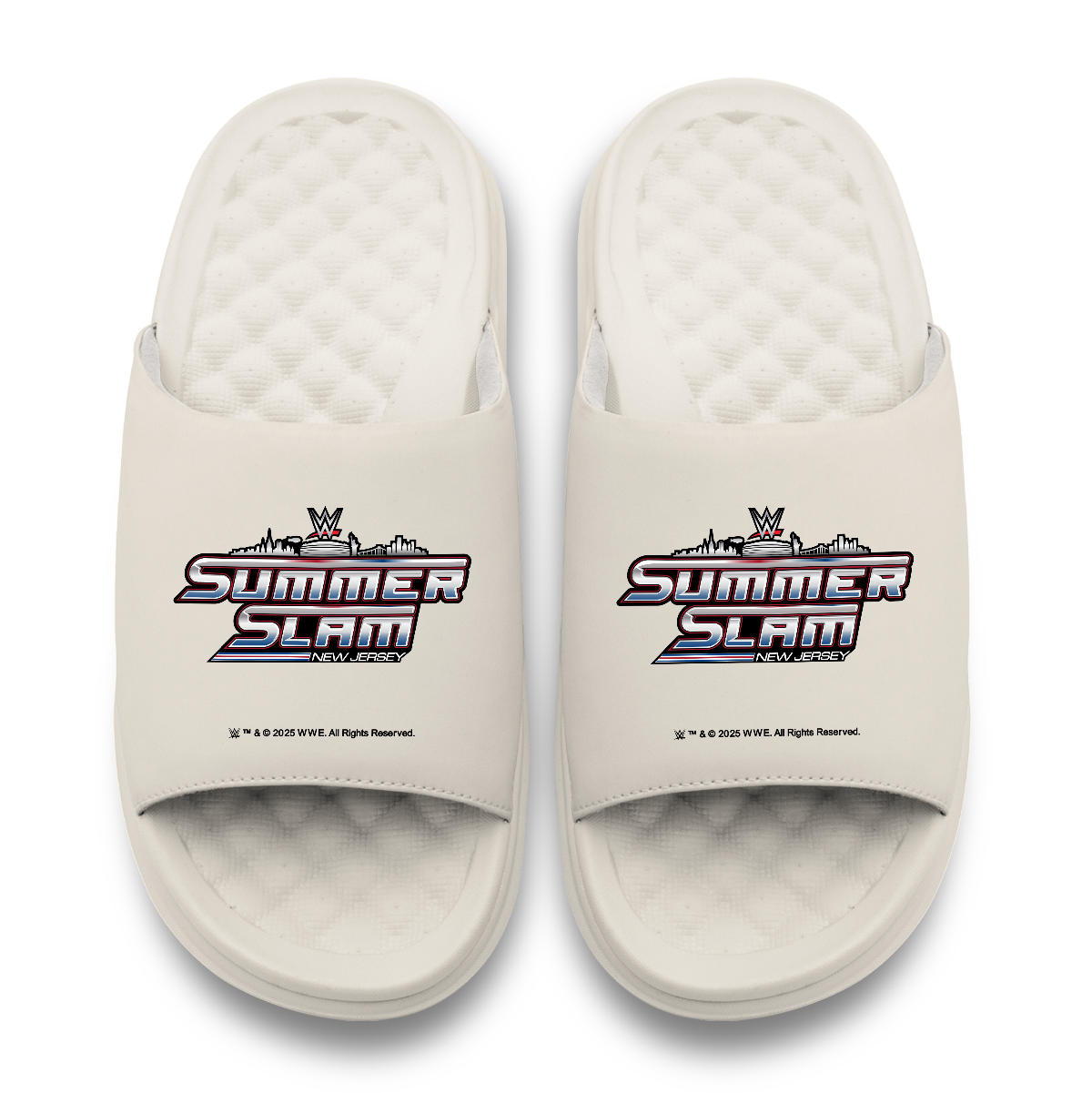 WWE 2025 Summer Slam Logo