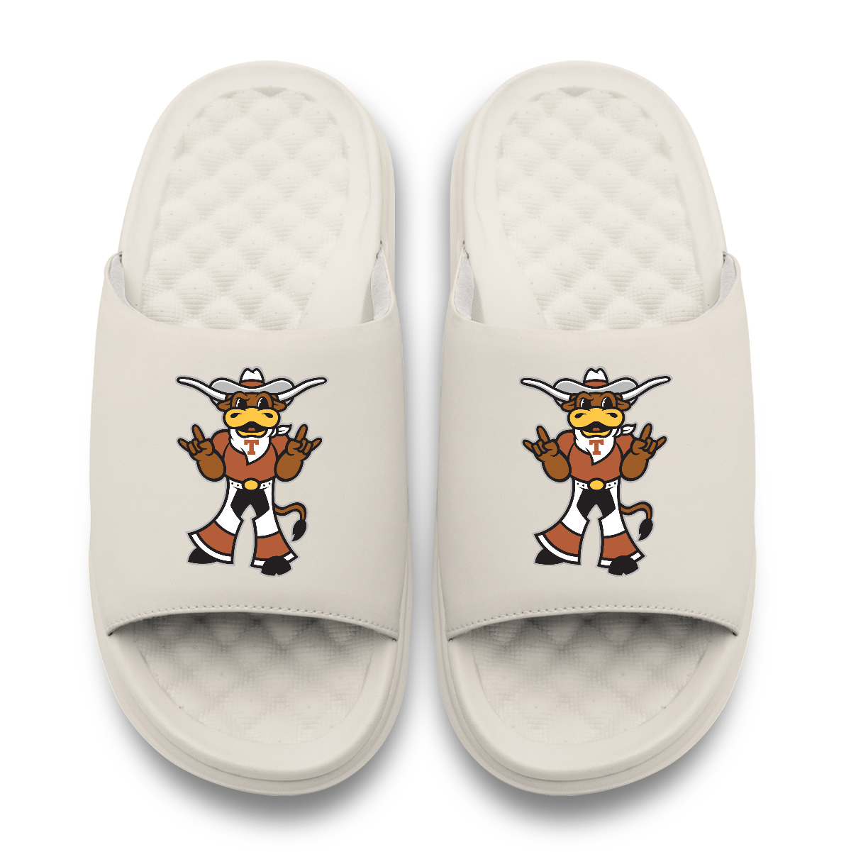 Texas Longhorns Mascot Motive