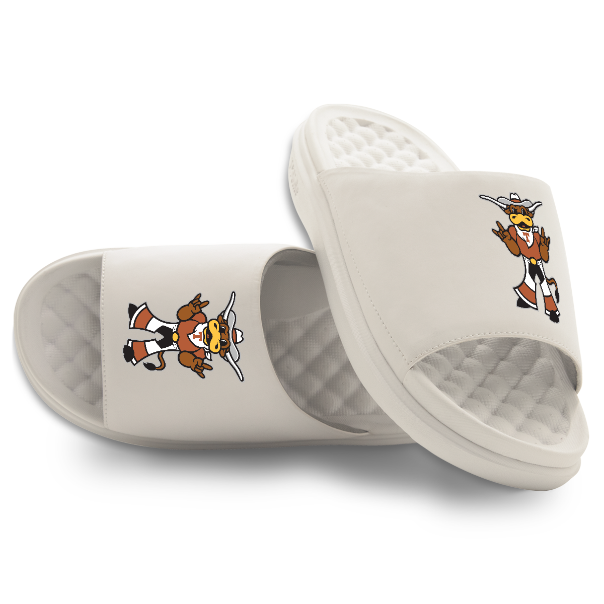 Texas Longhorns Mascot Motive
