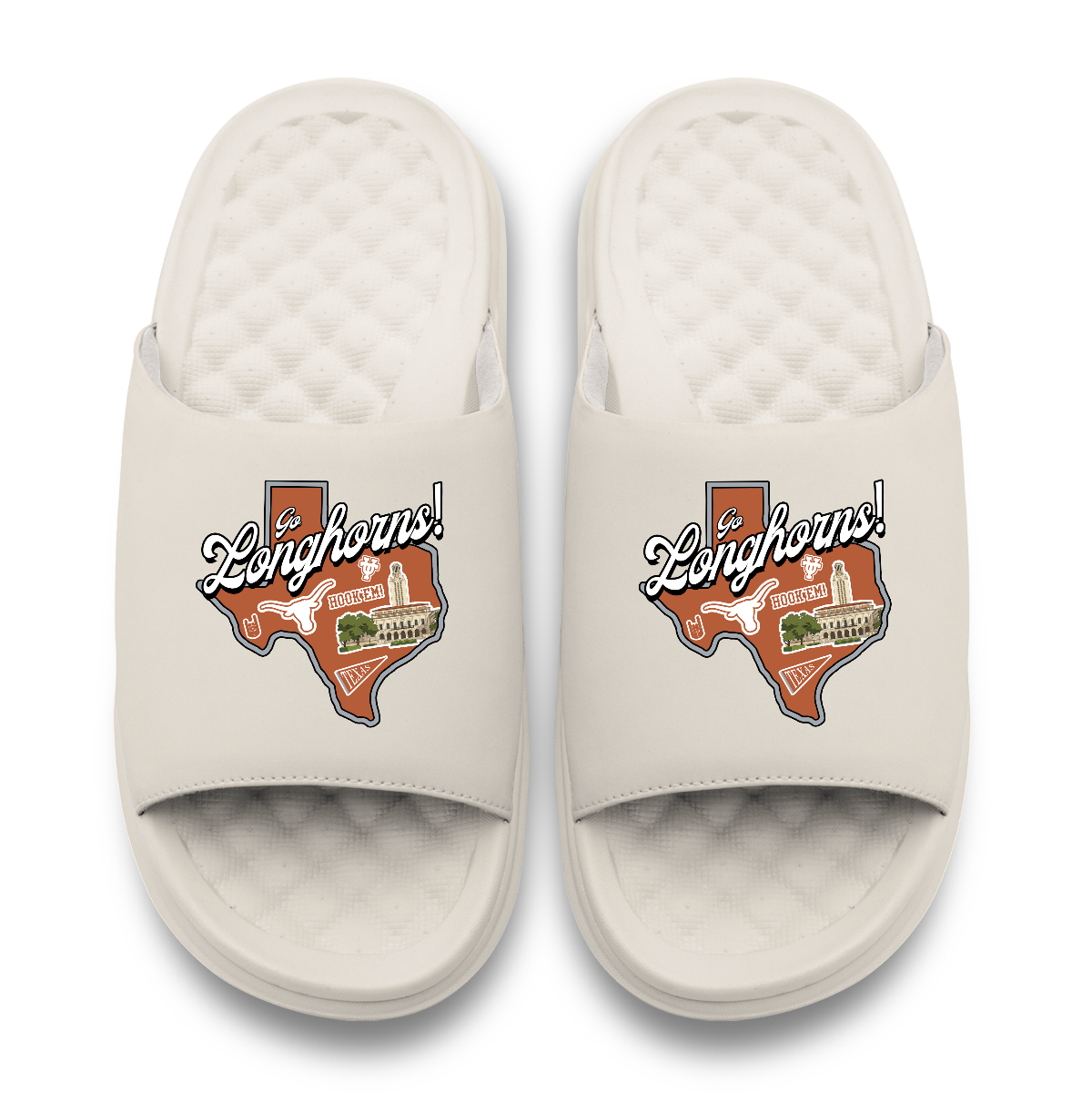 Texas Longhorns Landmark
