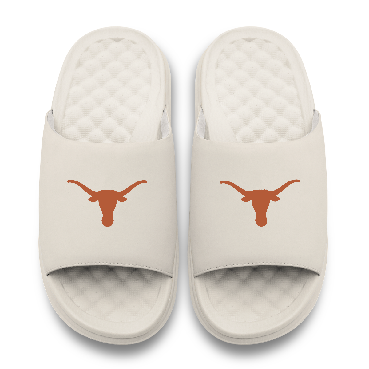 Texas Longhorns Primary Motive