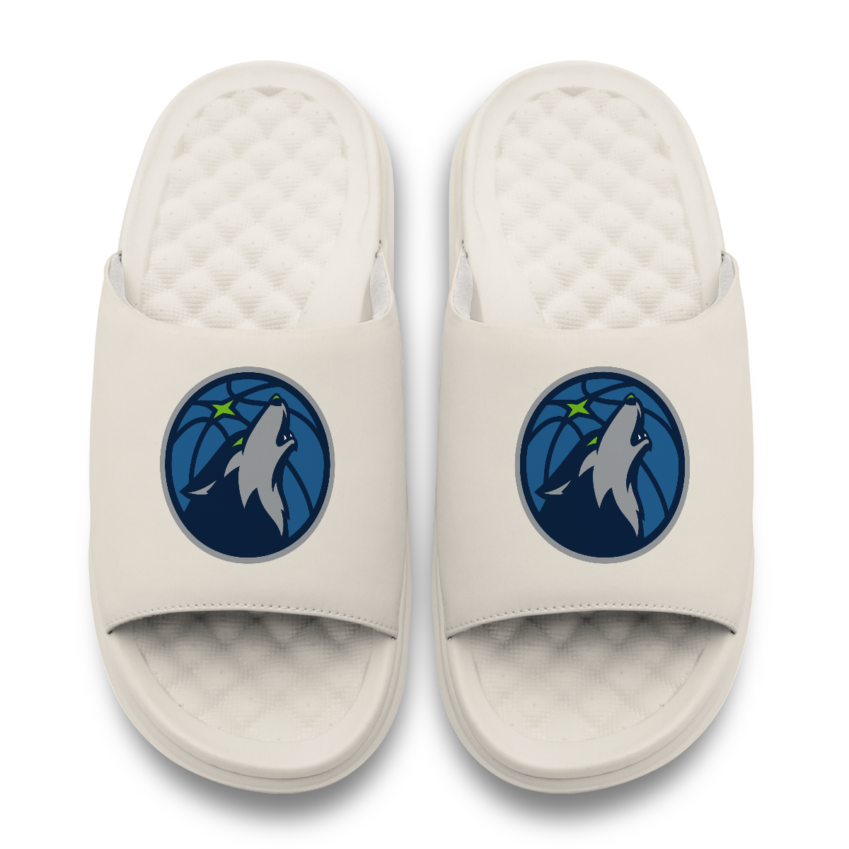 Minnesota Timberwolves Primary Motive