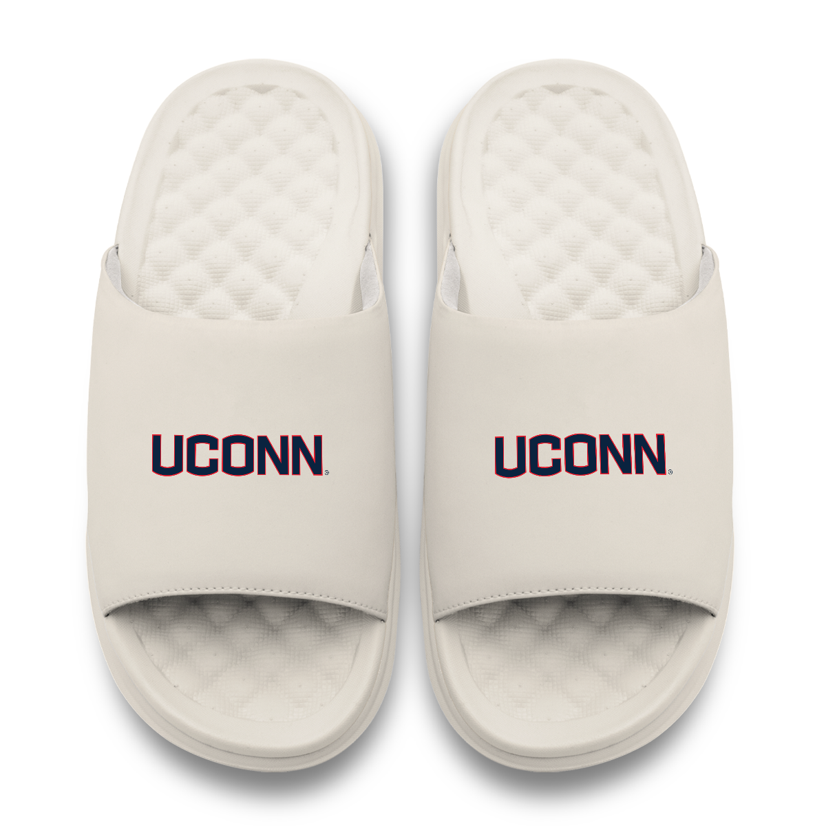 UConn Huskies Primary Motive