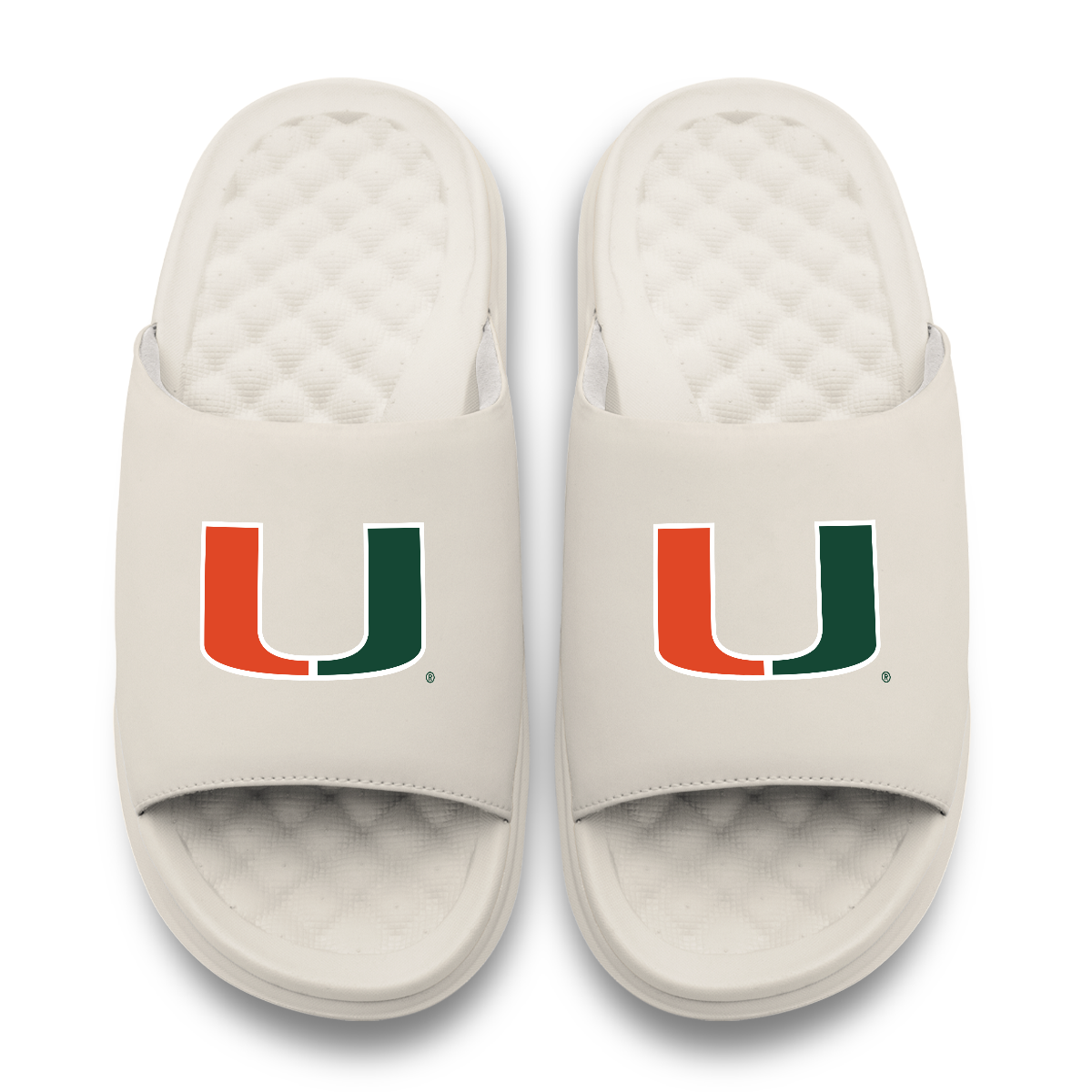 Miami Hurricanes Primary Motive