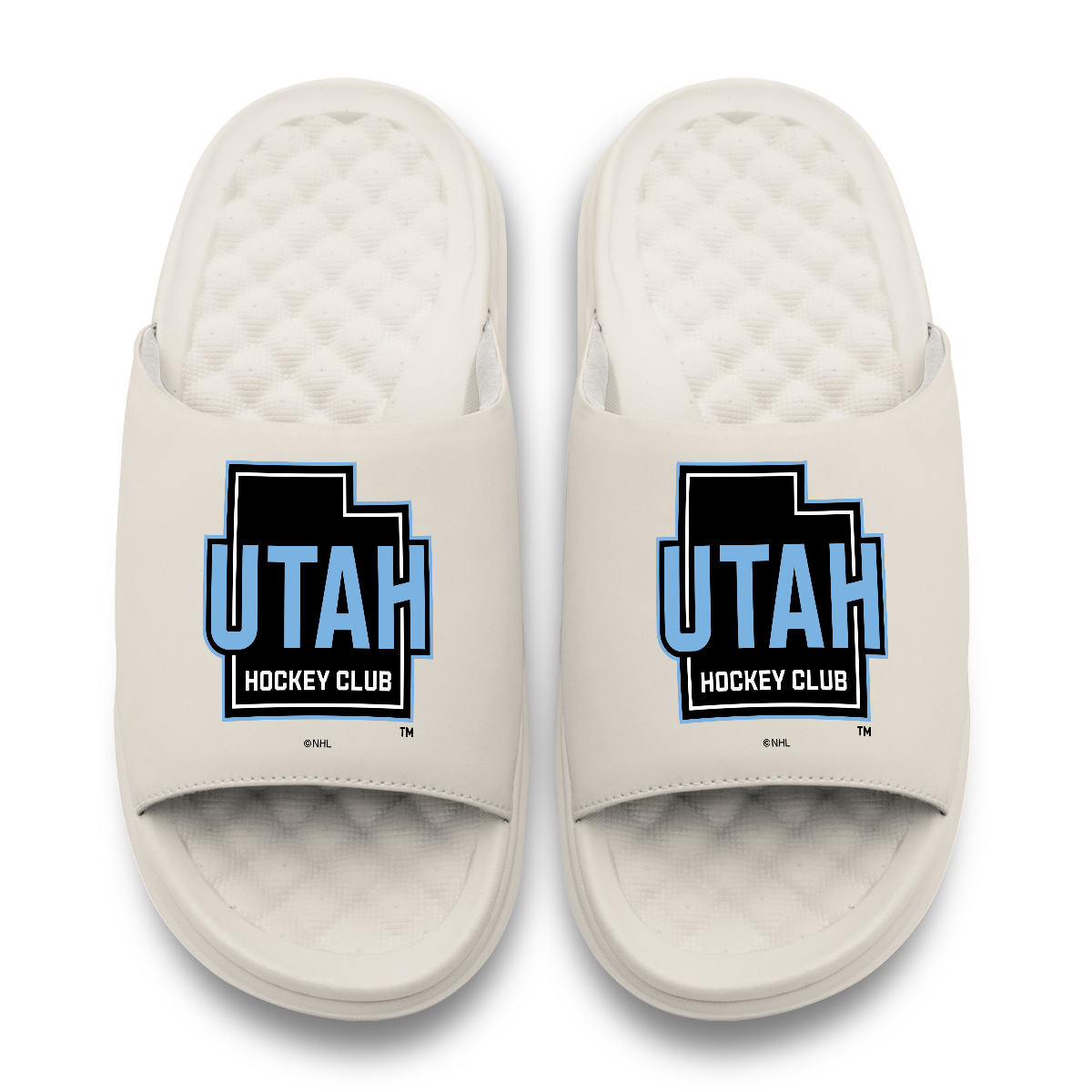 Utah Hockey Club Primary Motive