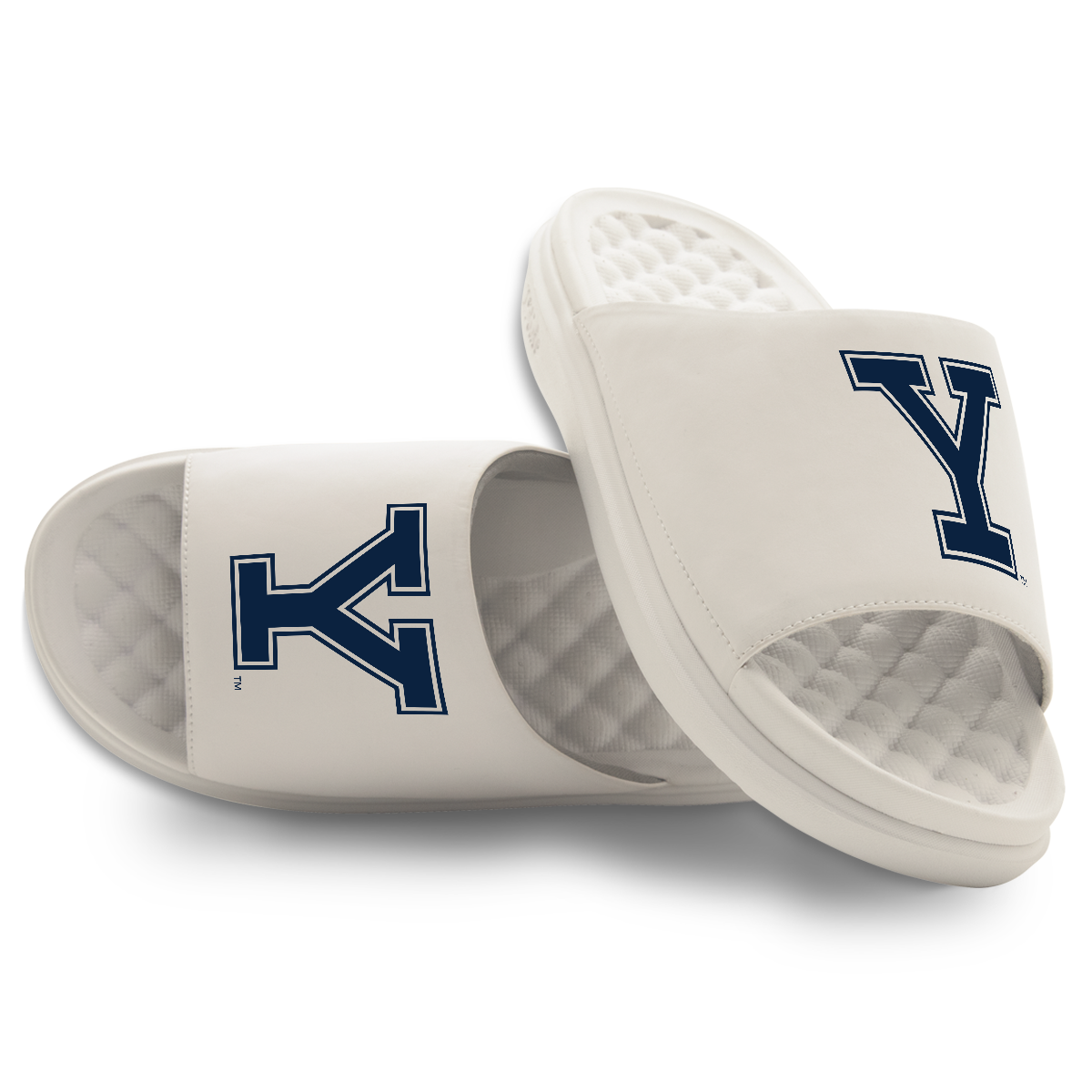 Yale Bulldogs Primary Motive