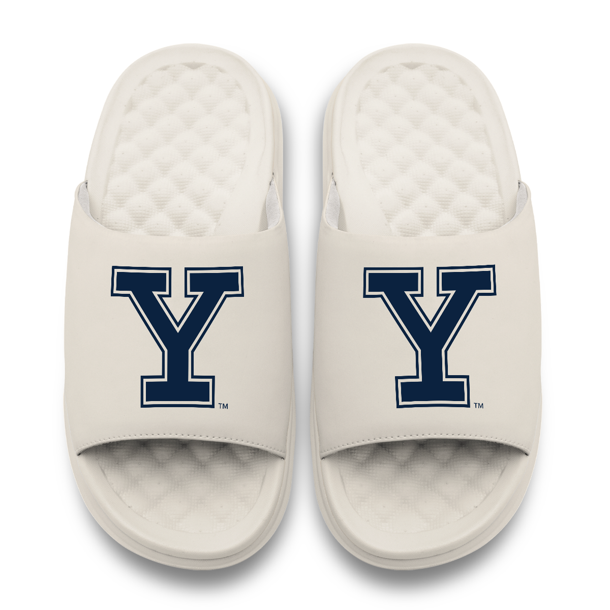 Yale Bulldogs Primary Motive