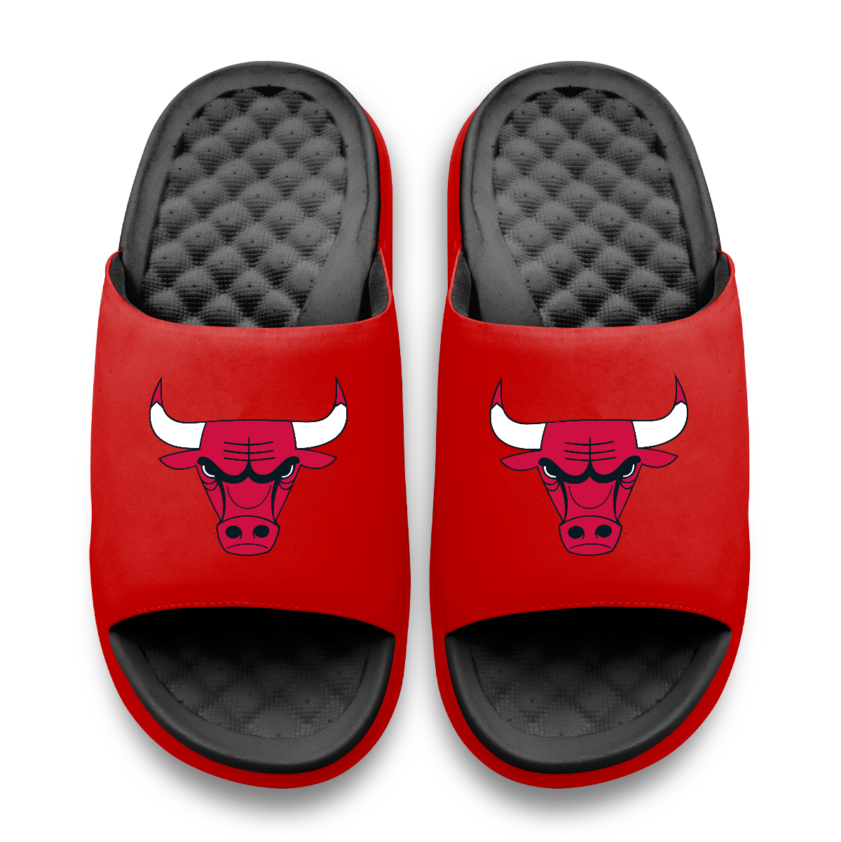Chicago Bulls Primary Logo Motive