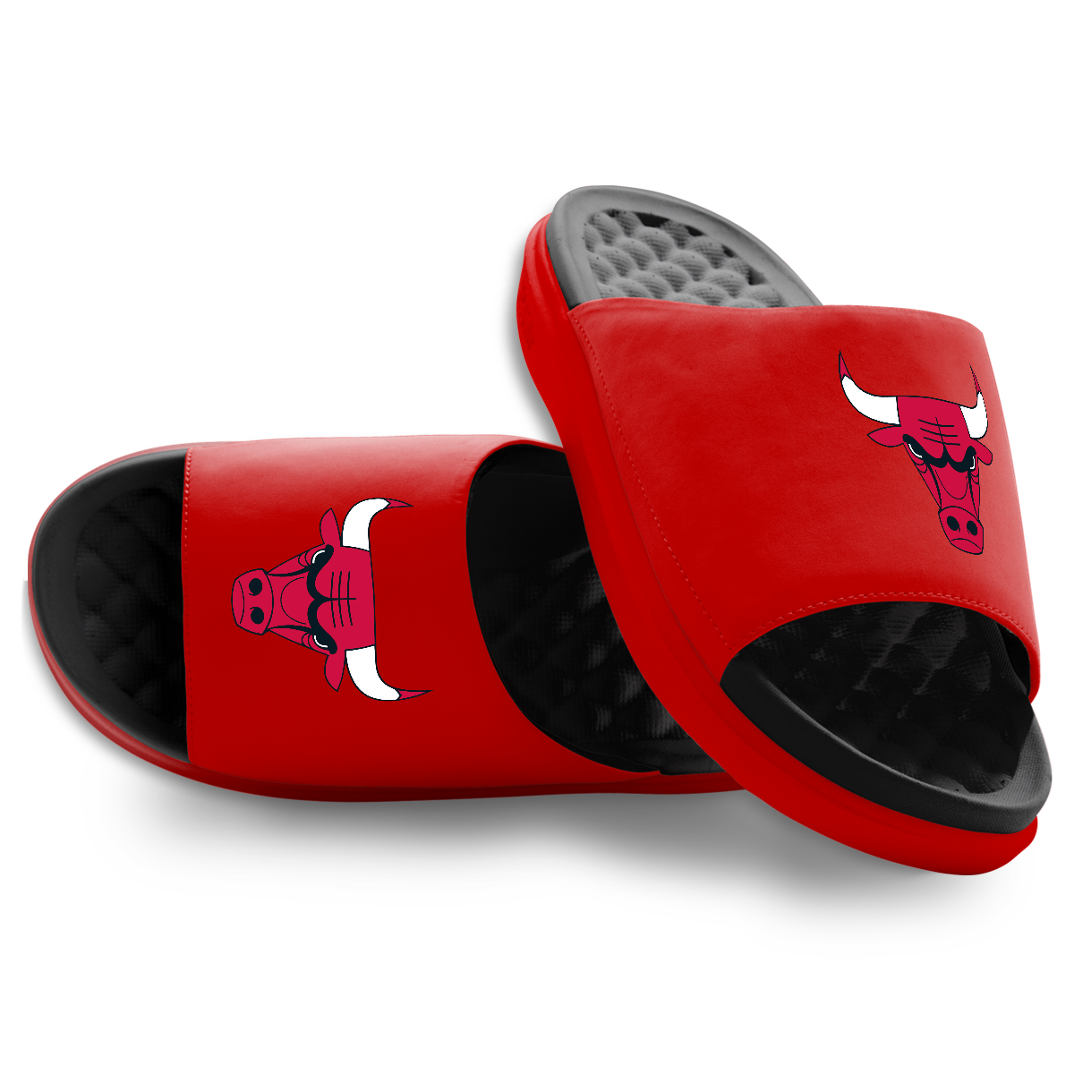 Chicago Bulls Primary Logo Motive