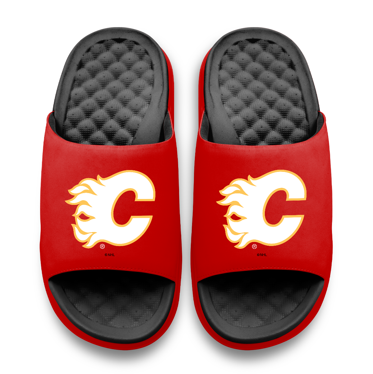 Calgary Flames Primary Logo Motive