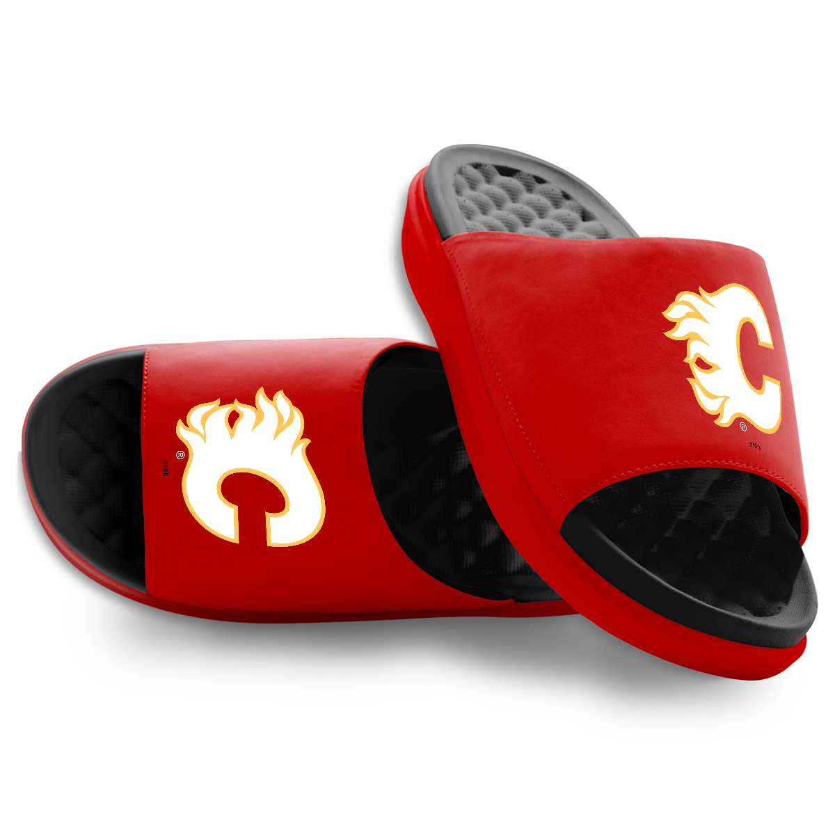 Calgary Flames Primary Logo Motive