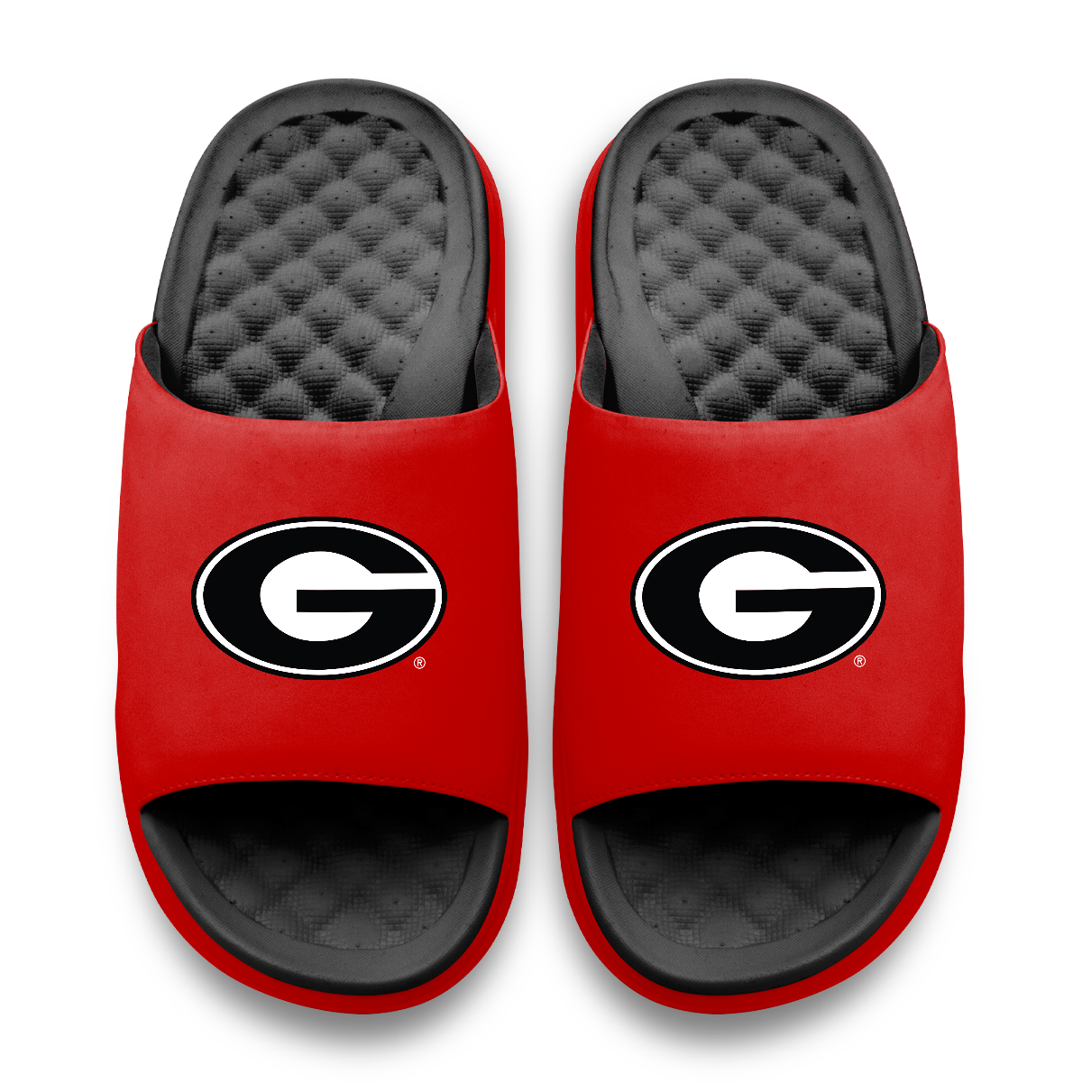 Georgia Bulldogs Primary Logo Motive