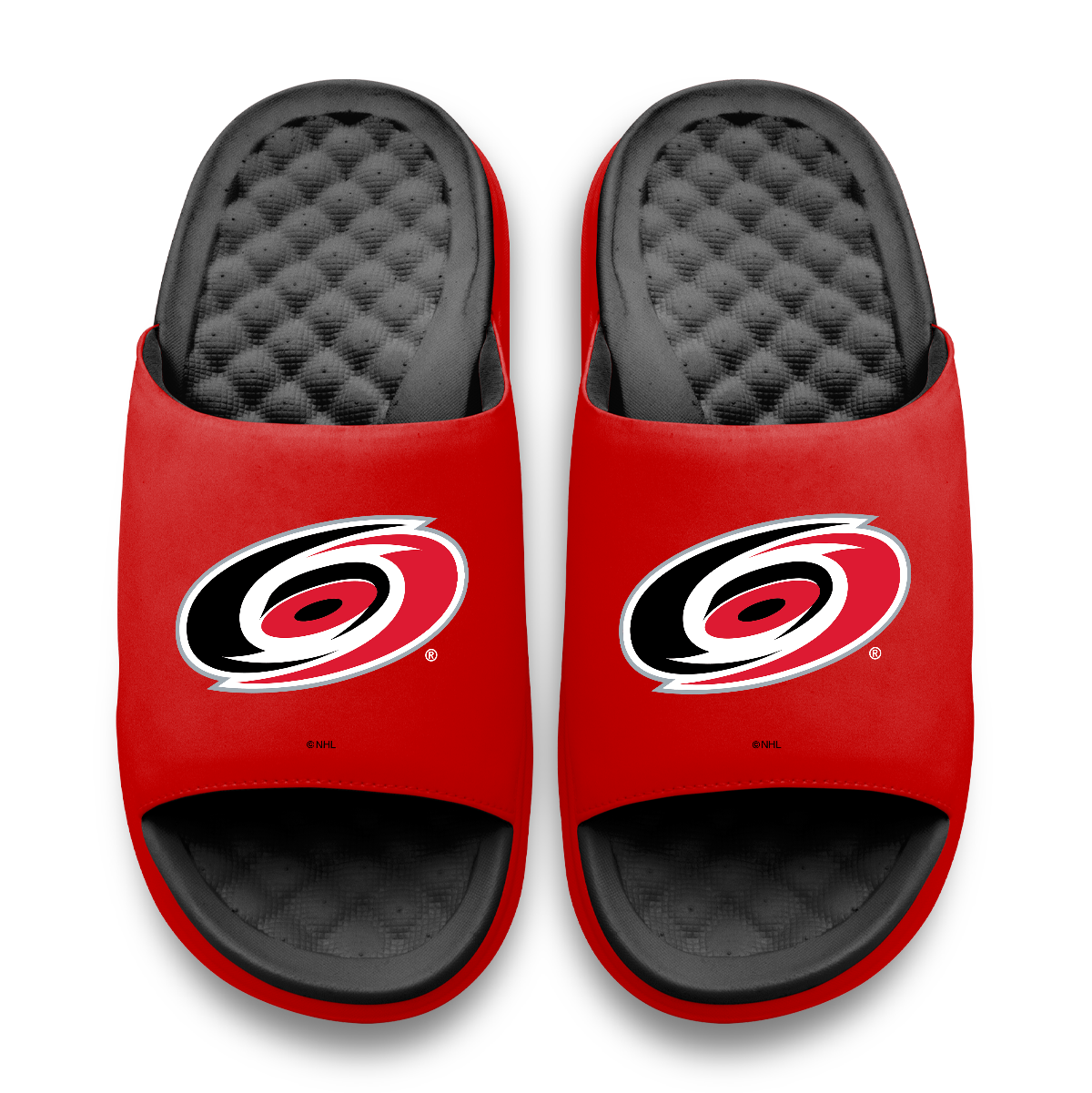 Carolina Hurricanes Primary Logo Motive