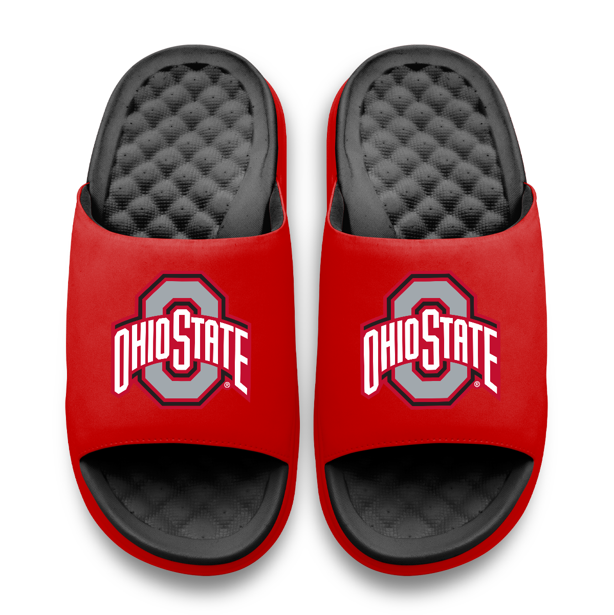 Ohio State Buckeyes Primary Logo Motive