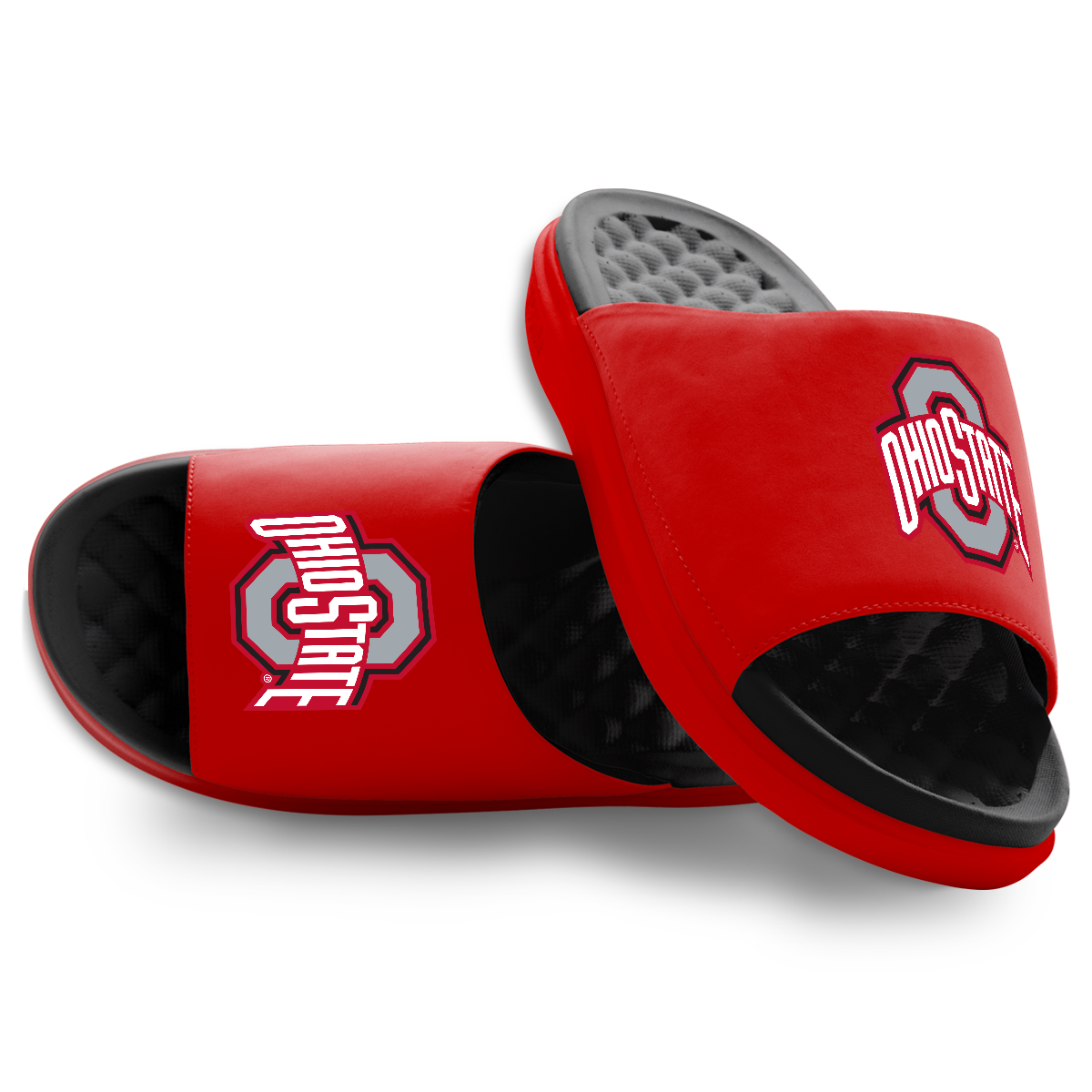 Ohio State Buckeyes Primary Logo Motive