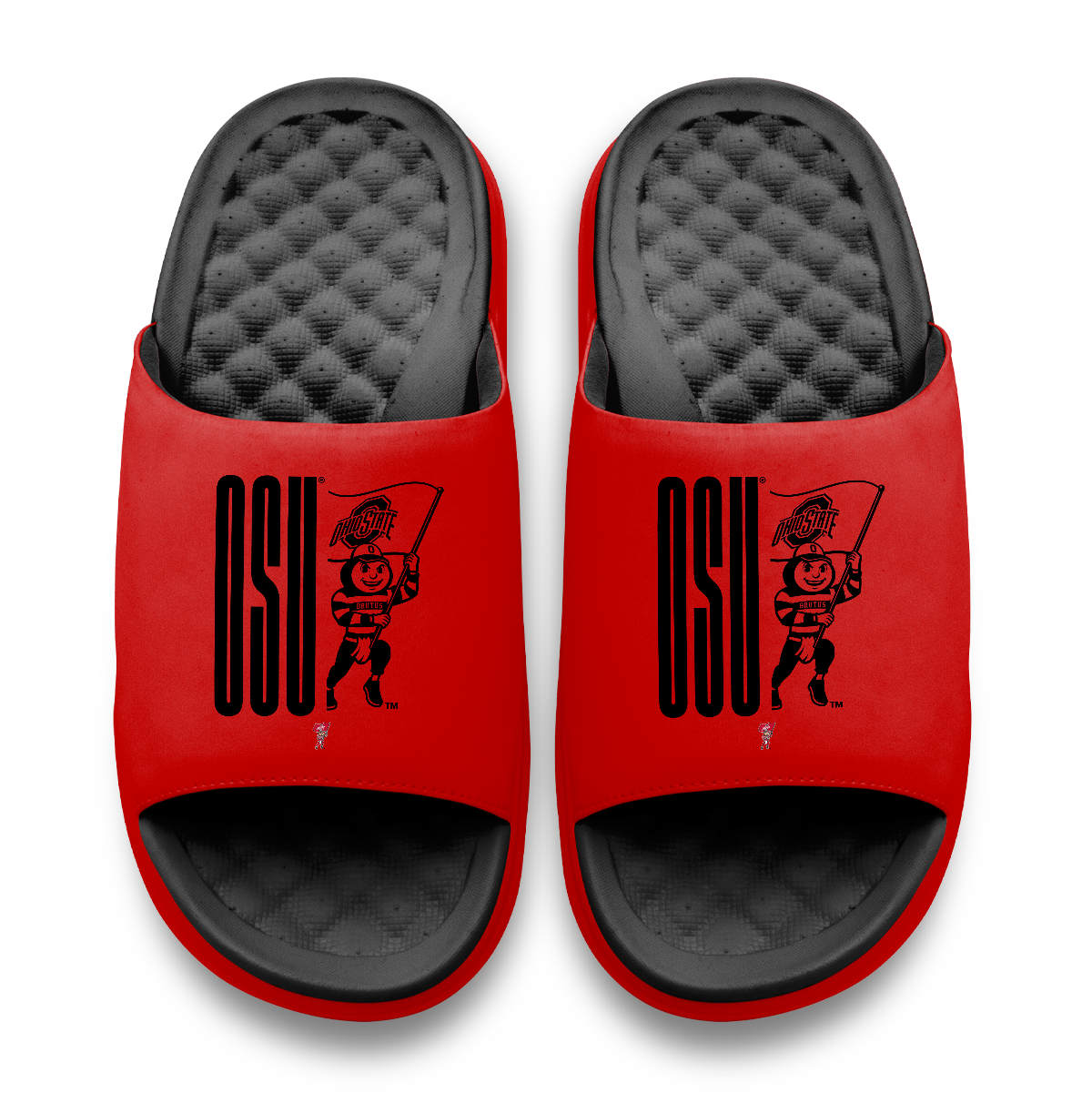 Ohio State Buckeyes Split Logo Motive
