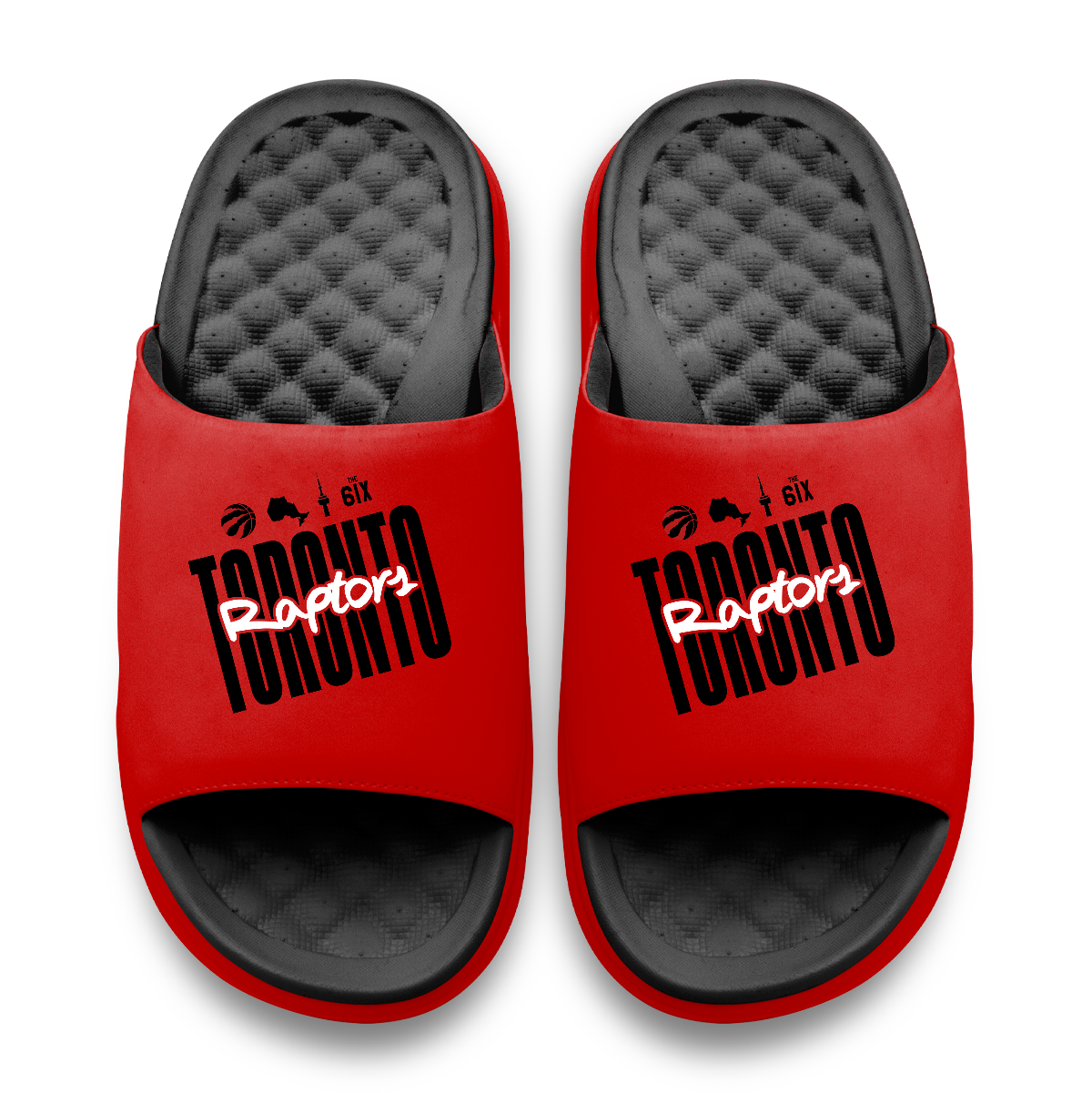 Toronto Raptors Primary Logo Motive