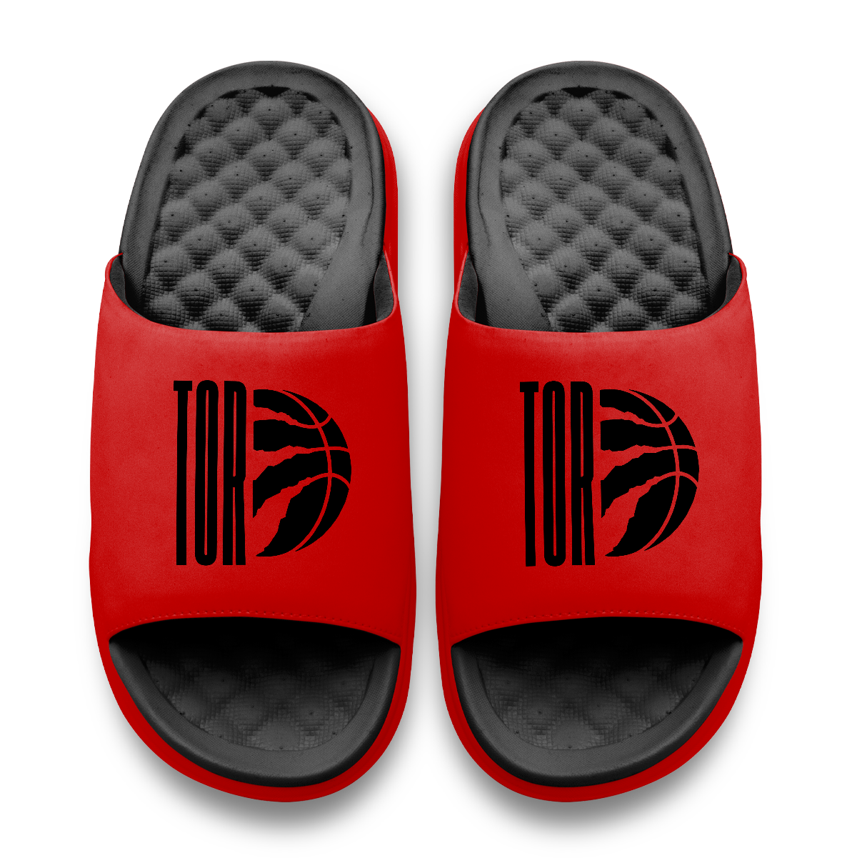 Toronto Raptors Split Logo Motive