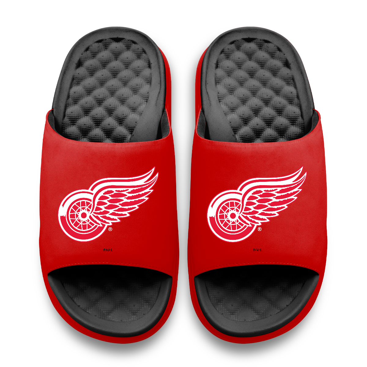 Detroit Red Wings Primary Logo Motive
