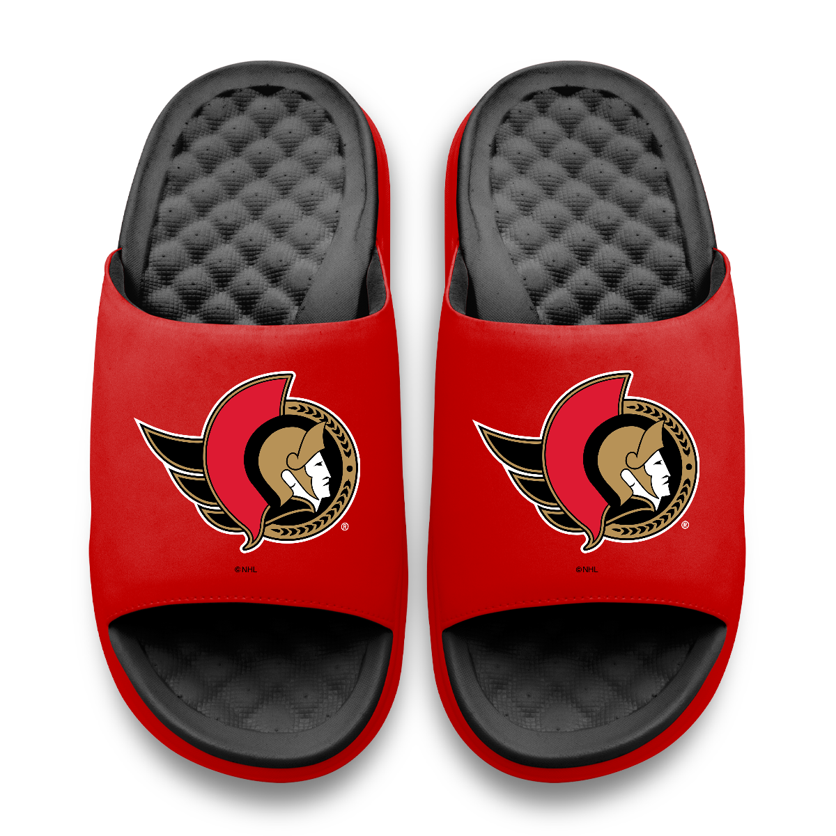 Ottawa Senators Primary Logo Motive