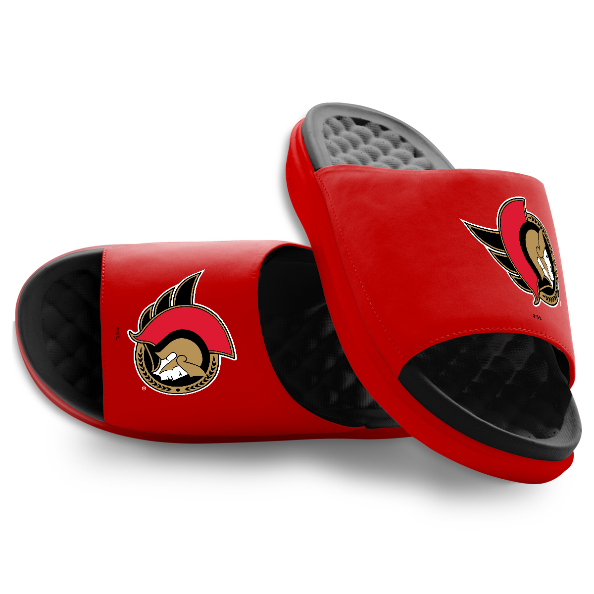 Ottawa Senators Primary Logo Motive