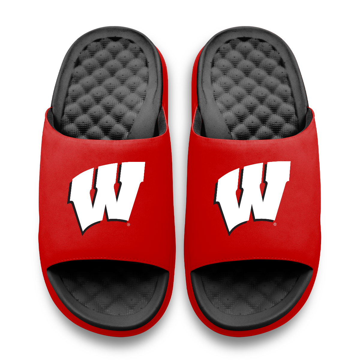 Wisconsin Badgers Primary Logo Motive
