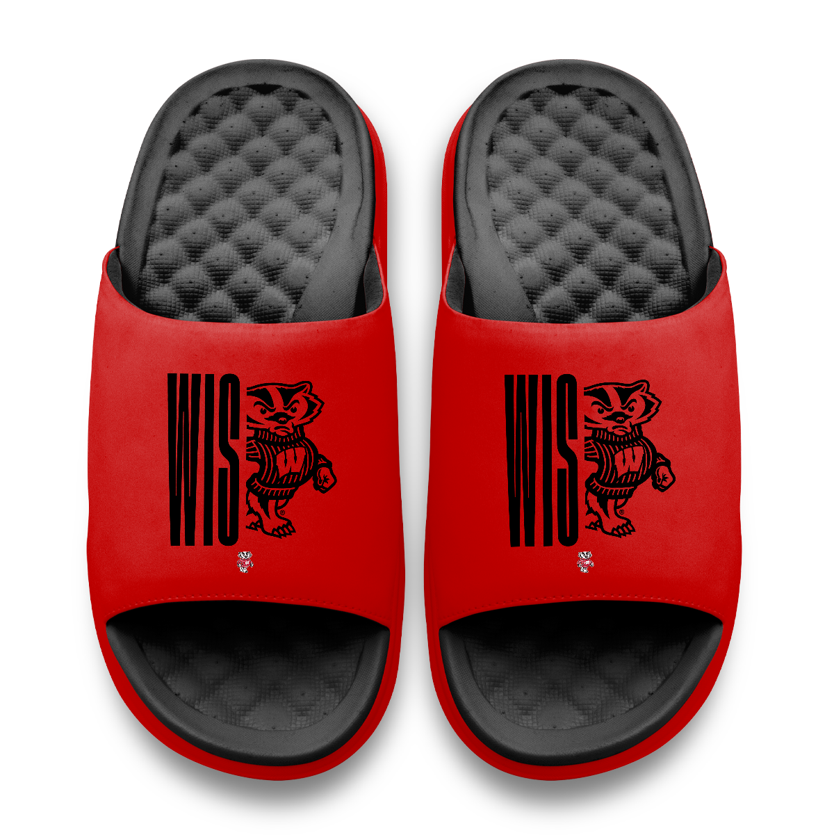 Wisconsin Badgers Split Logo Motive