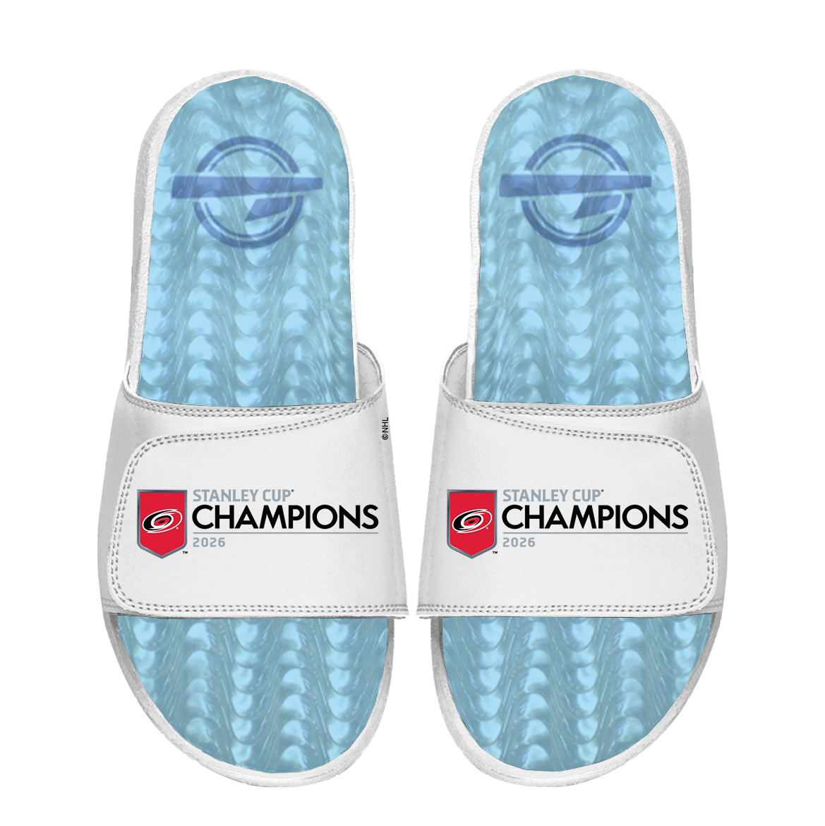 Carolina Hurricanes 2026 Stanley Cup Champions Gel