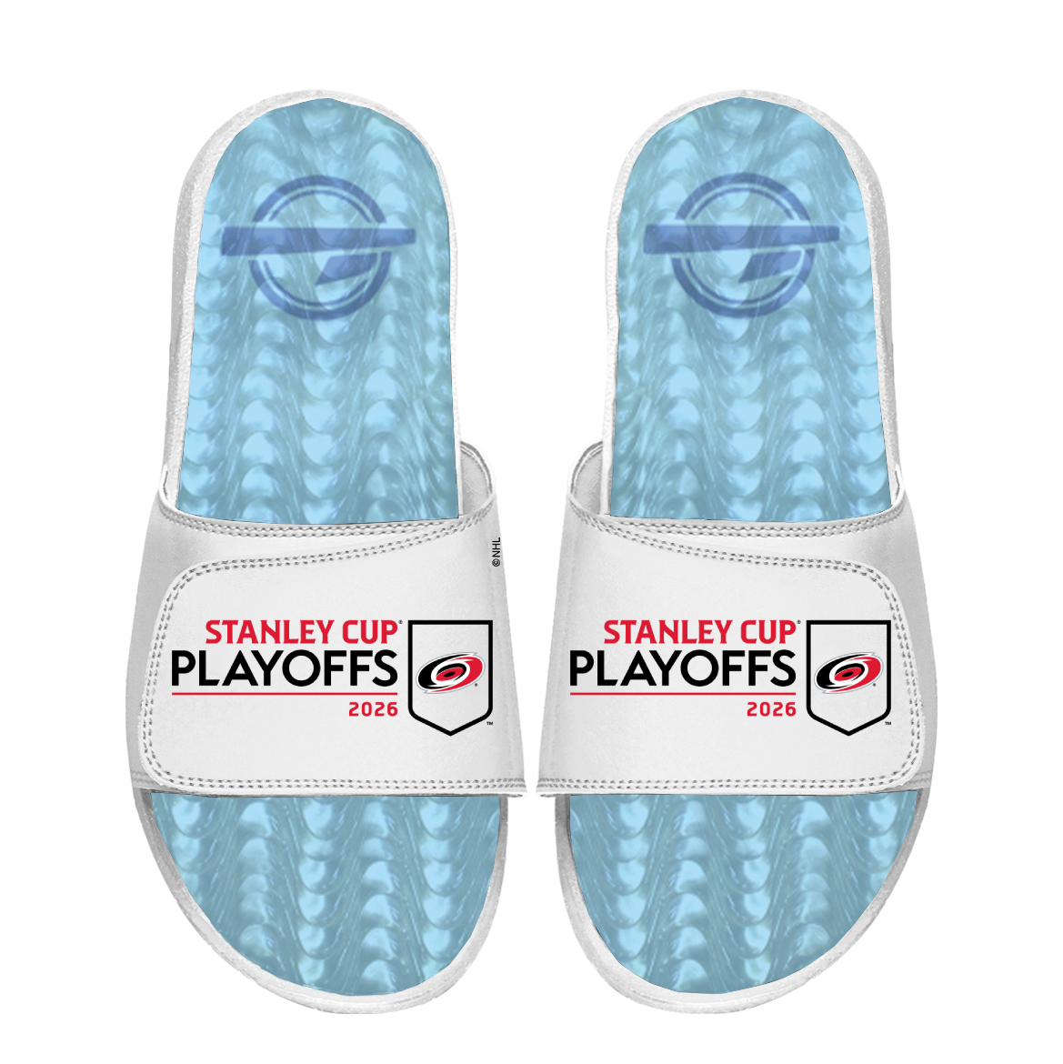 Carolina Hurricanes 2026 Stanley Cup Playoffs