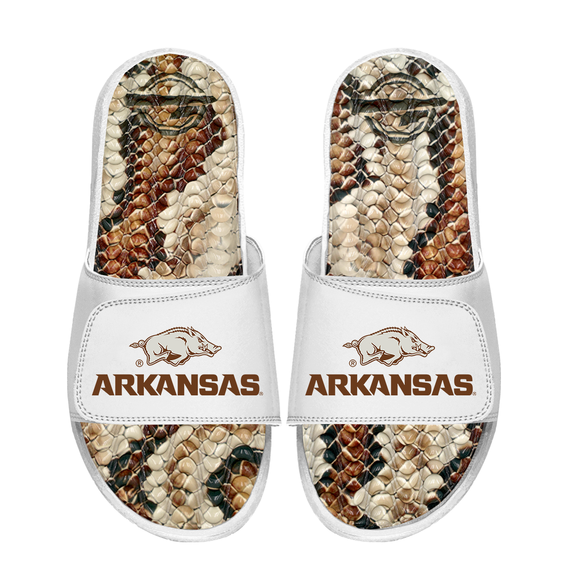 Arkansas Razorbacks Stacked Snake Gel