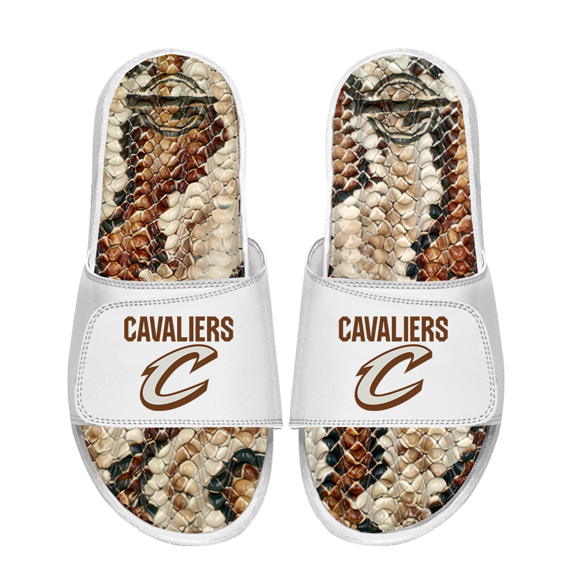 Cleveland Cavaliers Stacked Snake Gel