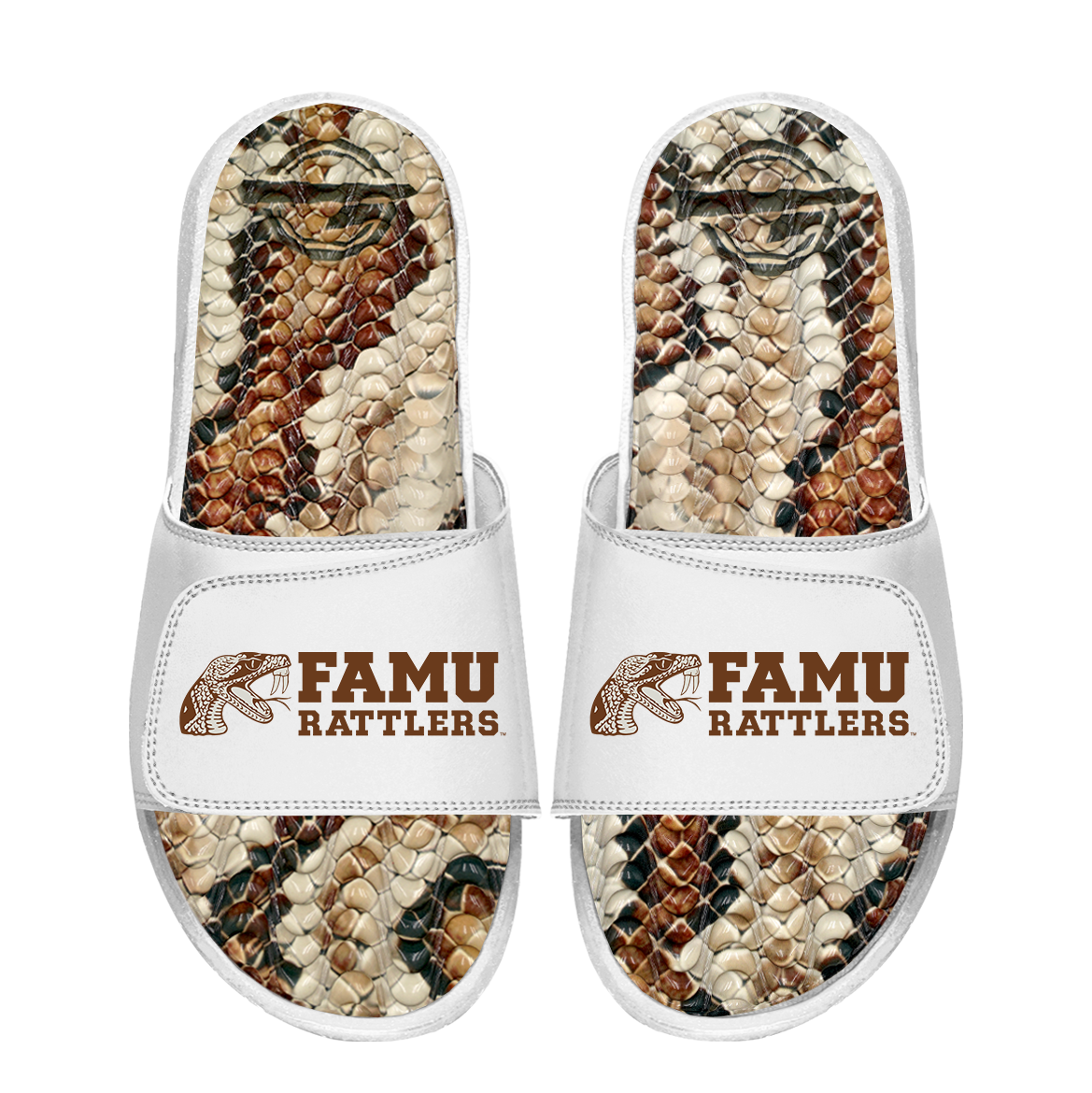 Florida A&amp;M Rattlers Stacked Snake Gel