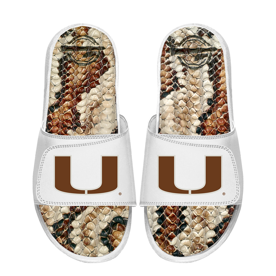 Miami Hurricanes Stacked Snake Gel