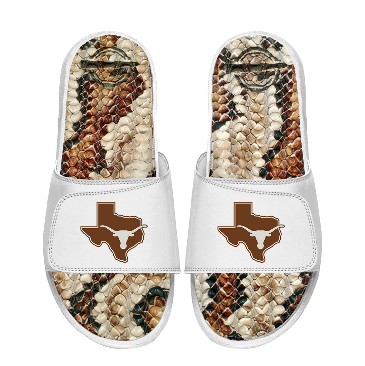 Texas Longhorns Stacked Snake Gel