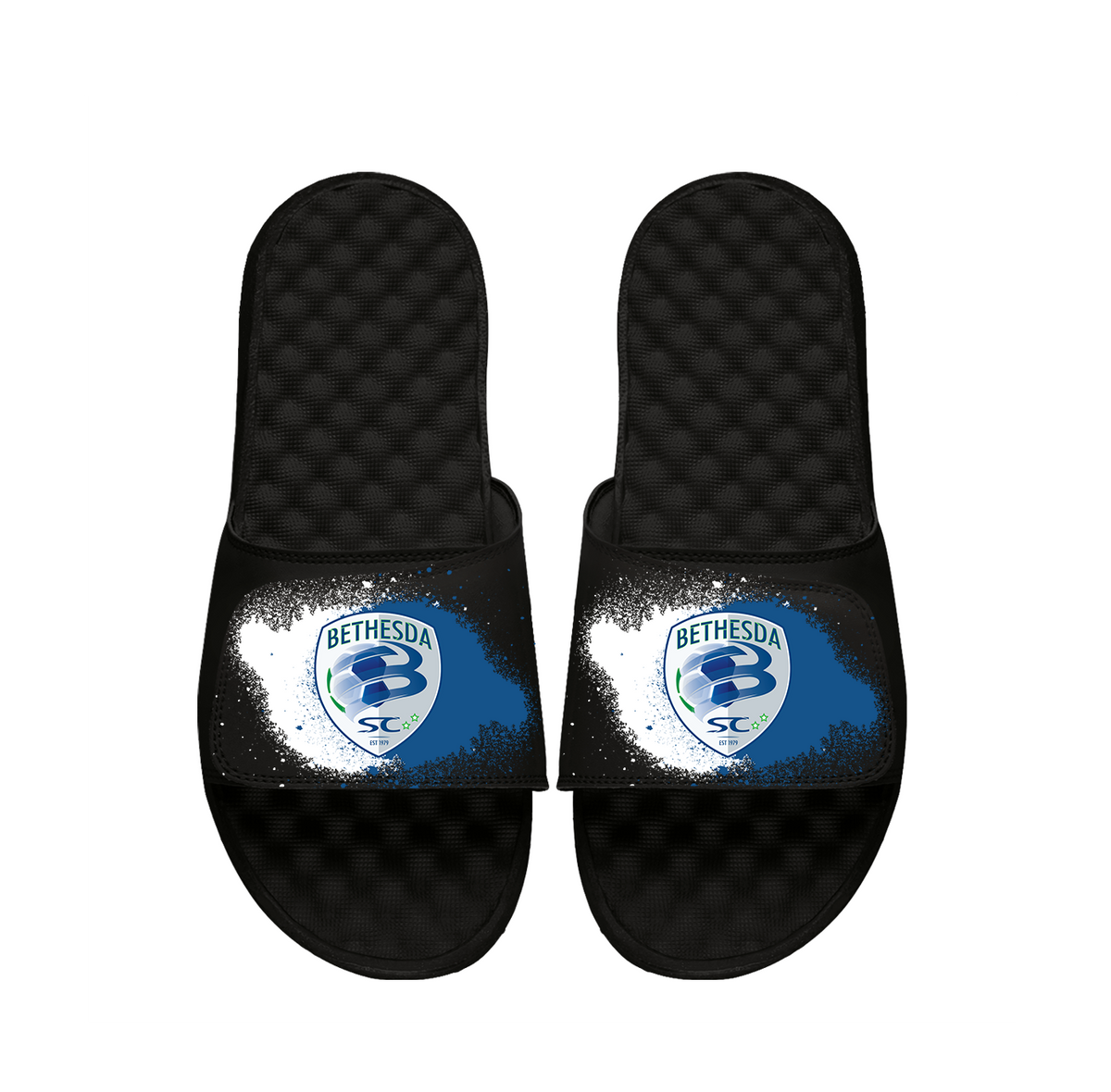 Bethesda SC Spray Paint