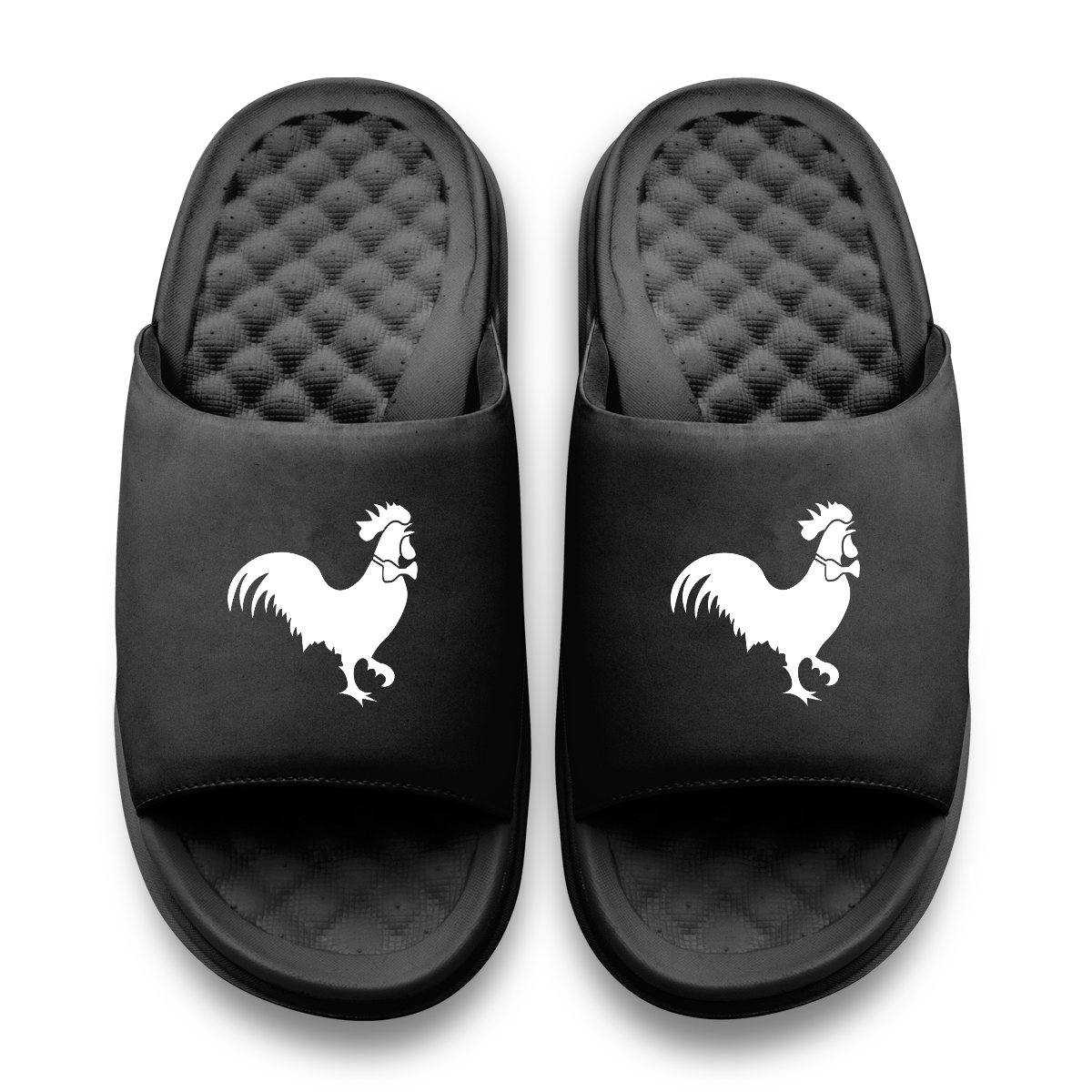 Bocock Bros Primary Motive