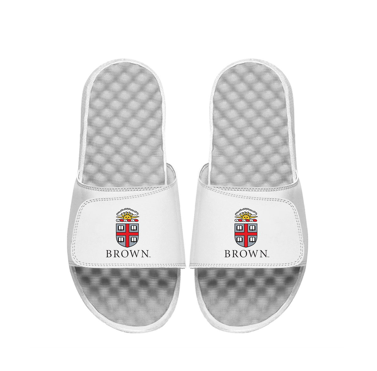 Brown University Crest