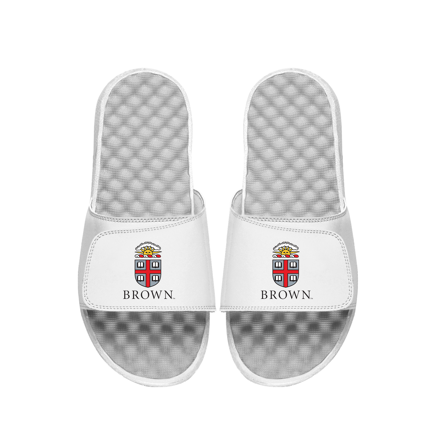 Brown University Crest